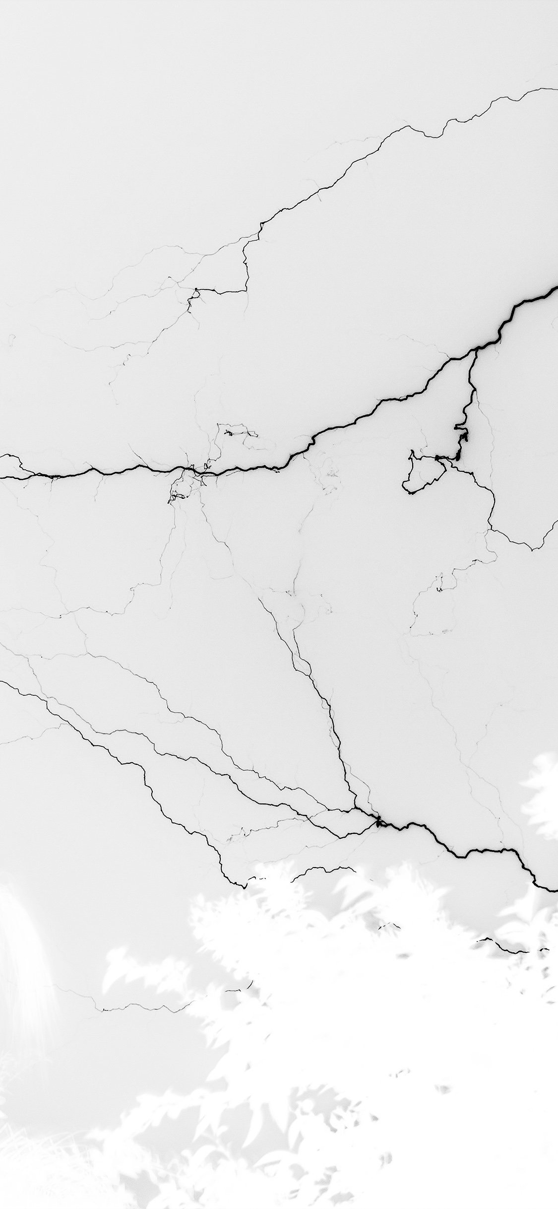 平板电脑, Ios, 自然环境, 斜坡, 树枝 壁纸 1125x2436 允许