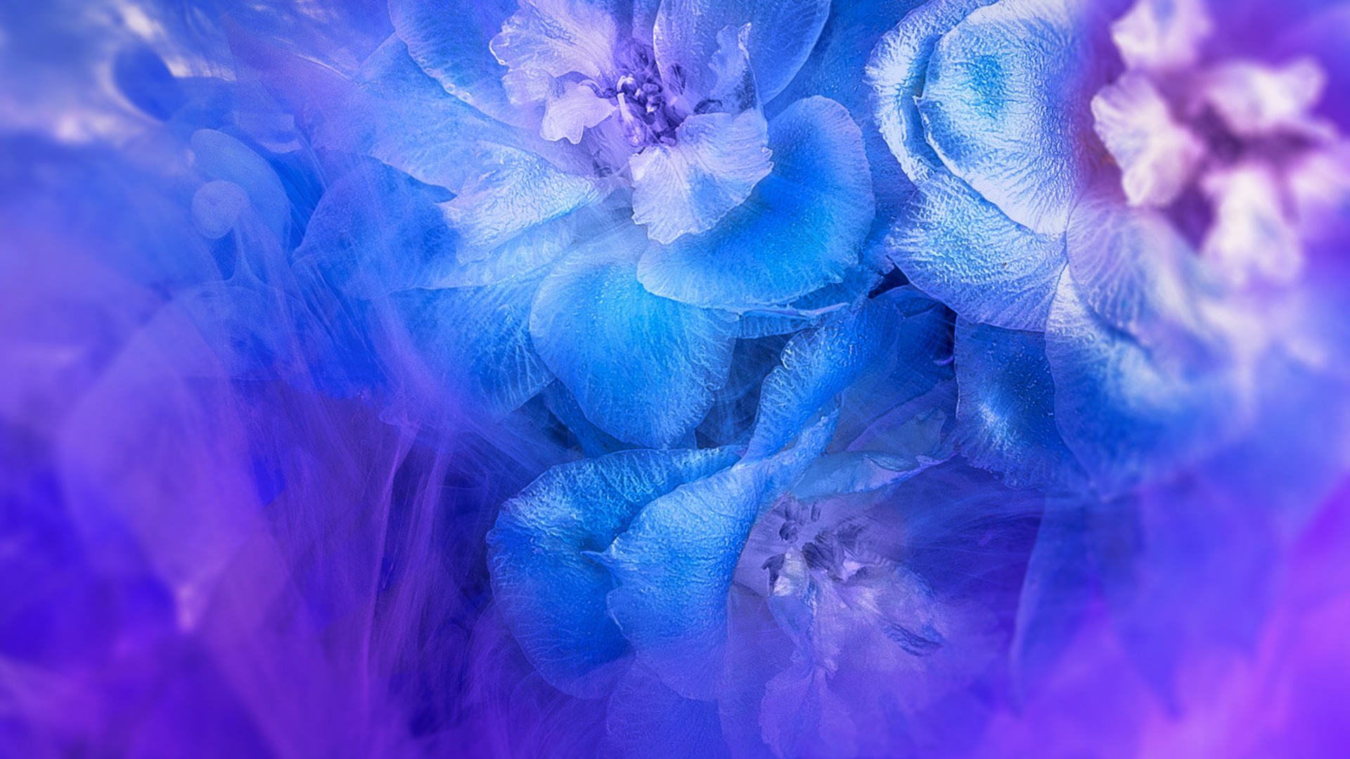 Huawei, Huawei Nova, Huawei Nova 3, Huawei Nova 3i Stock, Huawei Nova 3i. Wallpaper in 1920x1080 Resolution