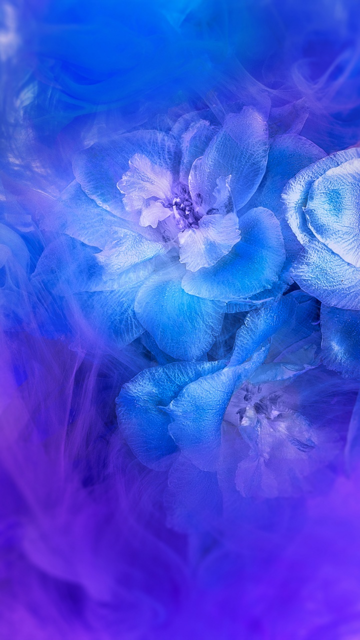 Huawei, Huawei Nova, Huawei Nova 3, Huawei Nova 3i Stock, Huawei Nova 3i. Wallpaper in 720x1280 Resolution