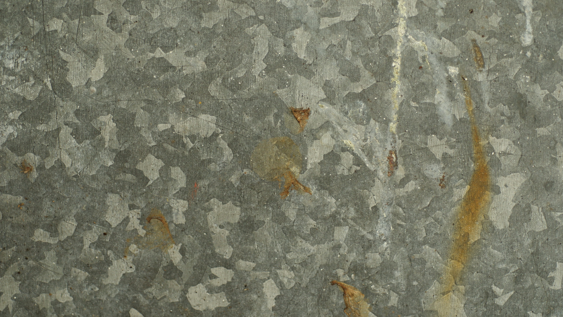 Brown Dried Leaf on Gray Concrete Floor. Wallpaper in 1920x1080 Resolution
