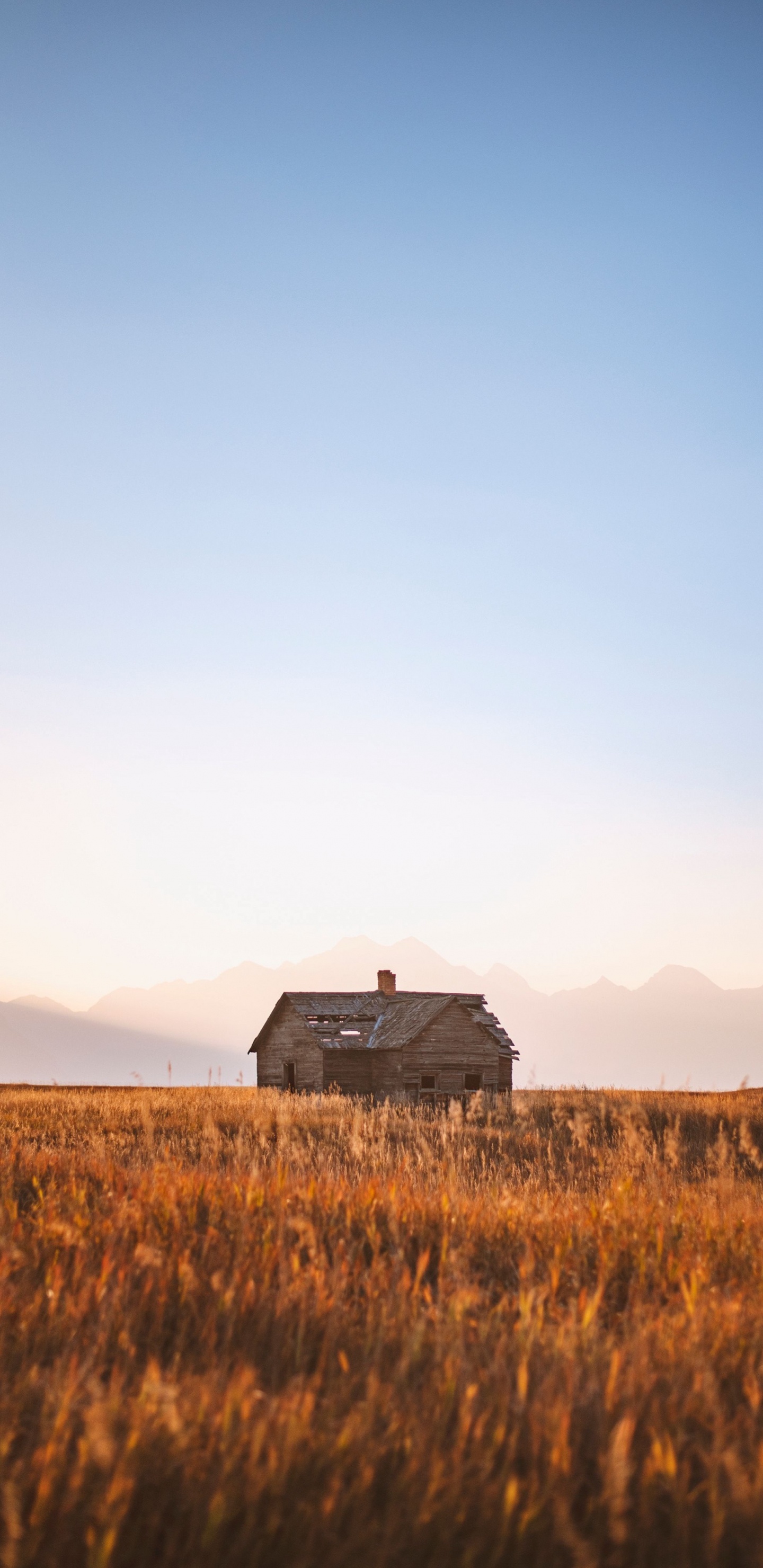 Avenir, Bande de Tim Raybon, Bluegrass, Spotify, Album. Wallpaper in 1440x2960 Resolution