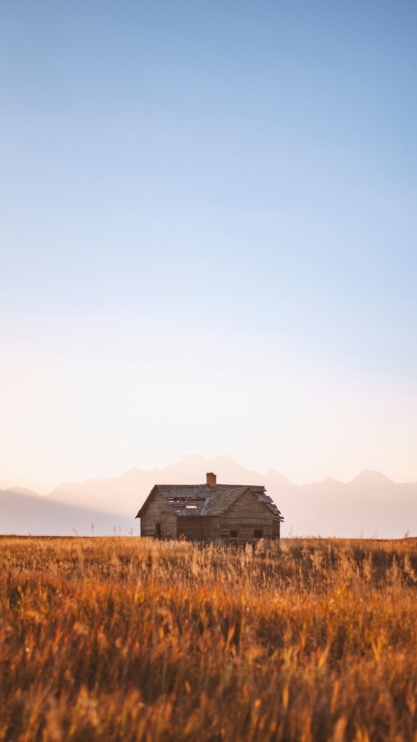 Future, Tim Raybon Band, Bluegrass, Spotify, Album. Wallpaper in 1440x2560 Resolution