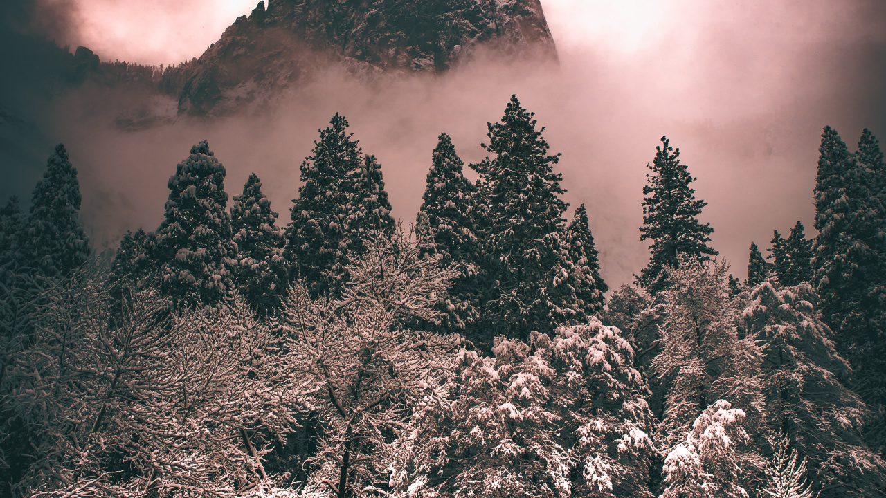 Atmosphère, Nature, Paysage Naturel. Wallpaper in 1280x720 Resolution