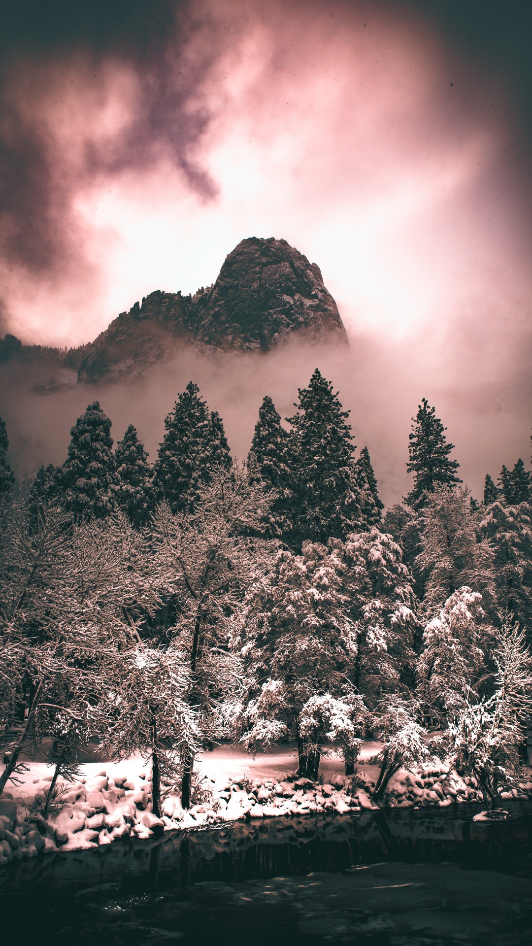 Baum, Cloud, Atmosphäre, Natur, Naturlandschaft. Wallpaper in 1080x1920 Resolution