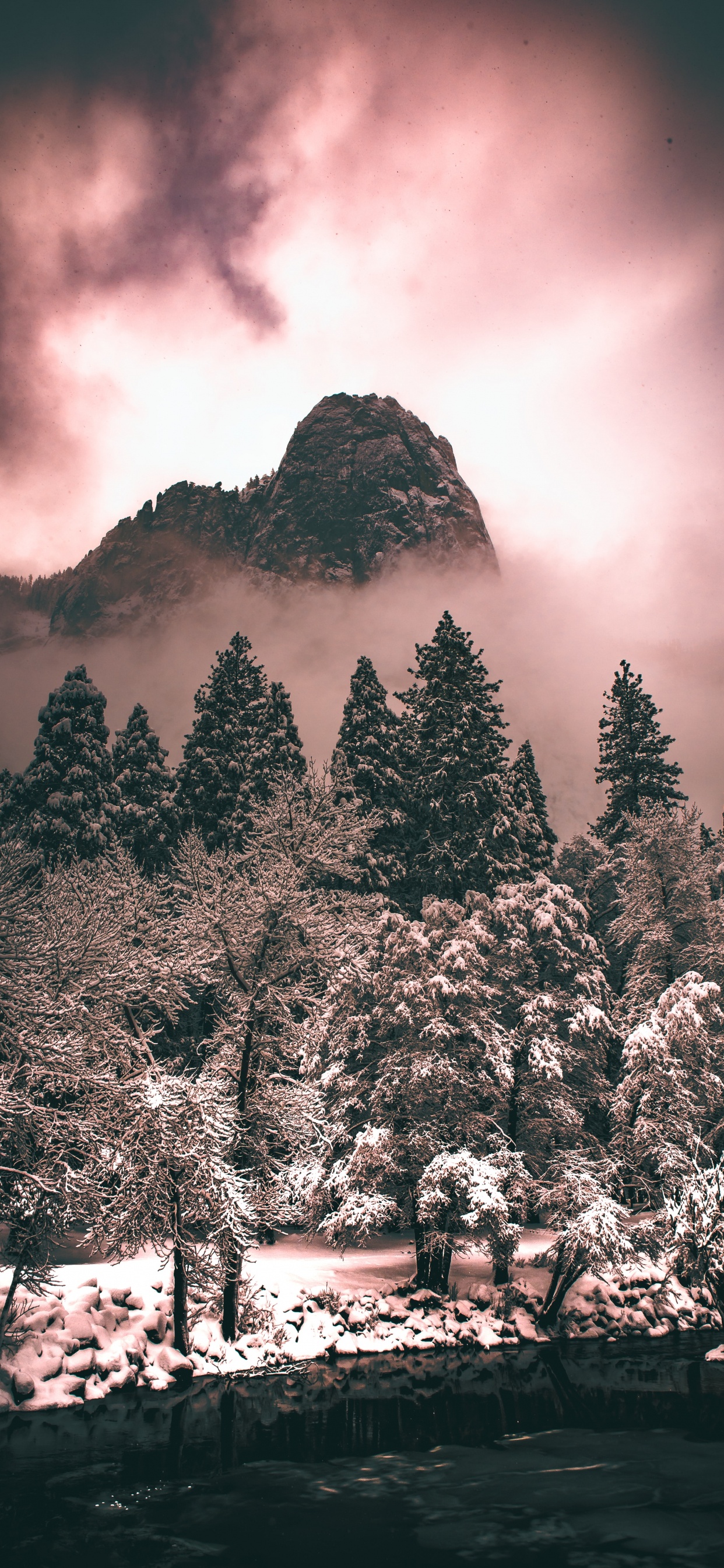 Baum, Cloud, Atmosphäre, Natur, Naturlandschaft. Wallpaper in 1242x2688 Resolution
