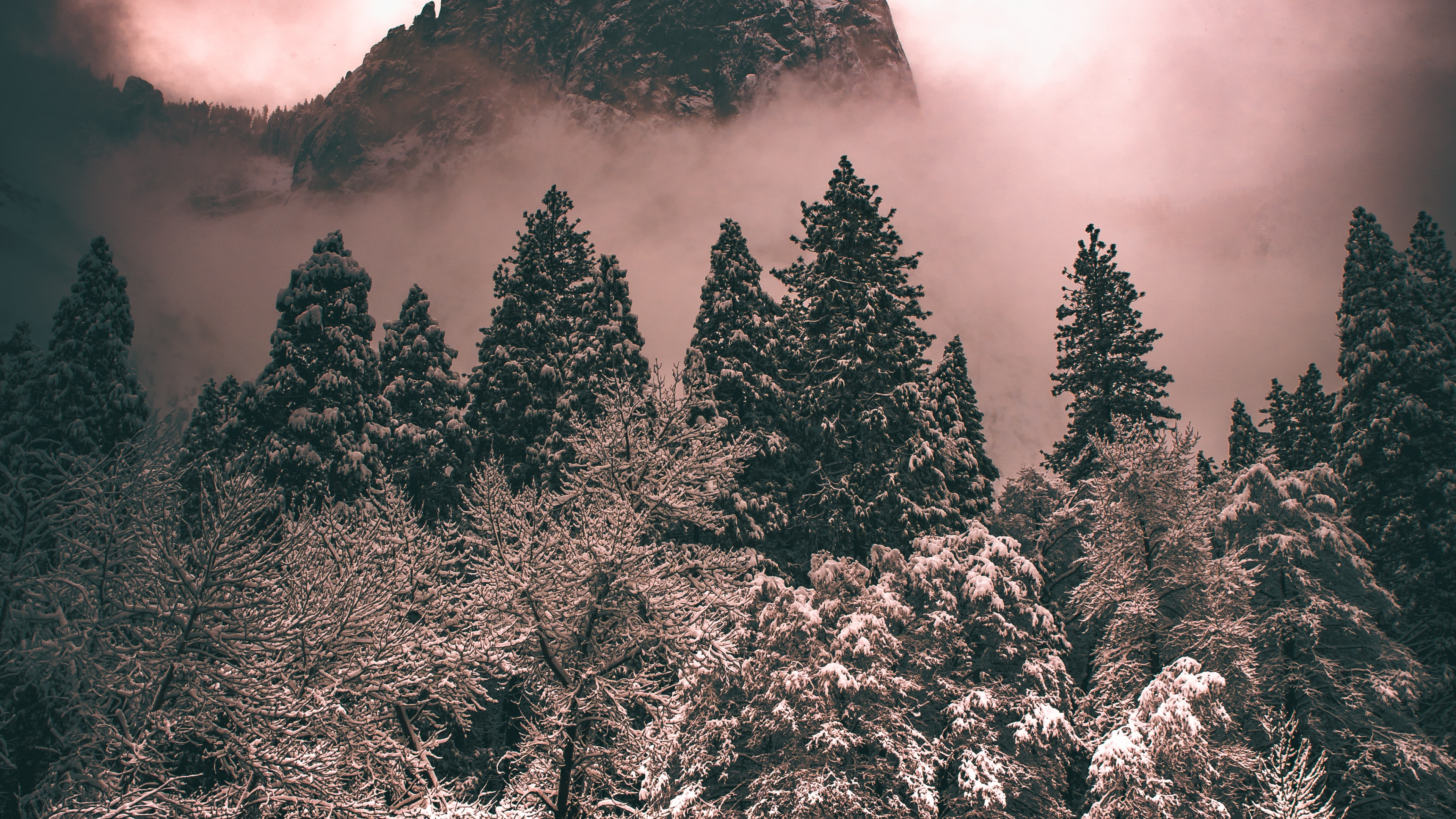 Baum, Cloud, Atmosphäre, Natur, Naturlandschaft. Wallpaper in 3840x2160 Resolution