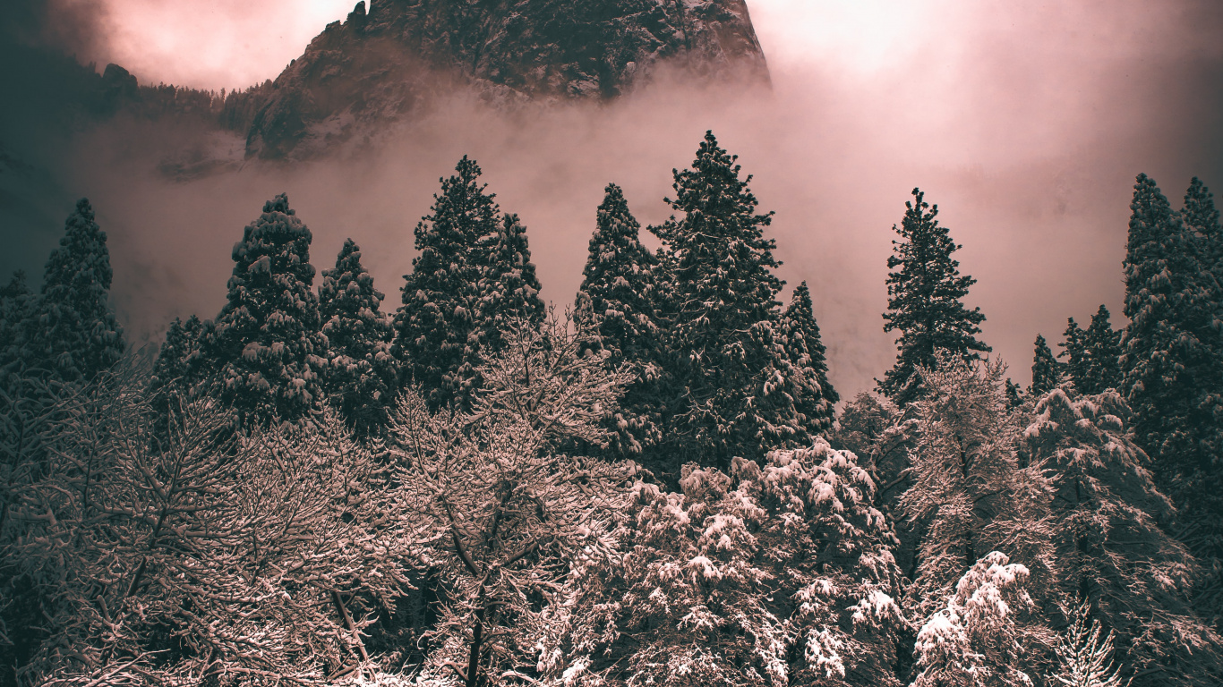Tree, Cloud, Atmosphere, Plant, Mountain. Wallpaper in 1366x768 Resolution
