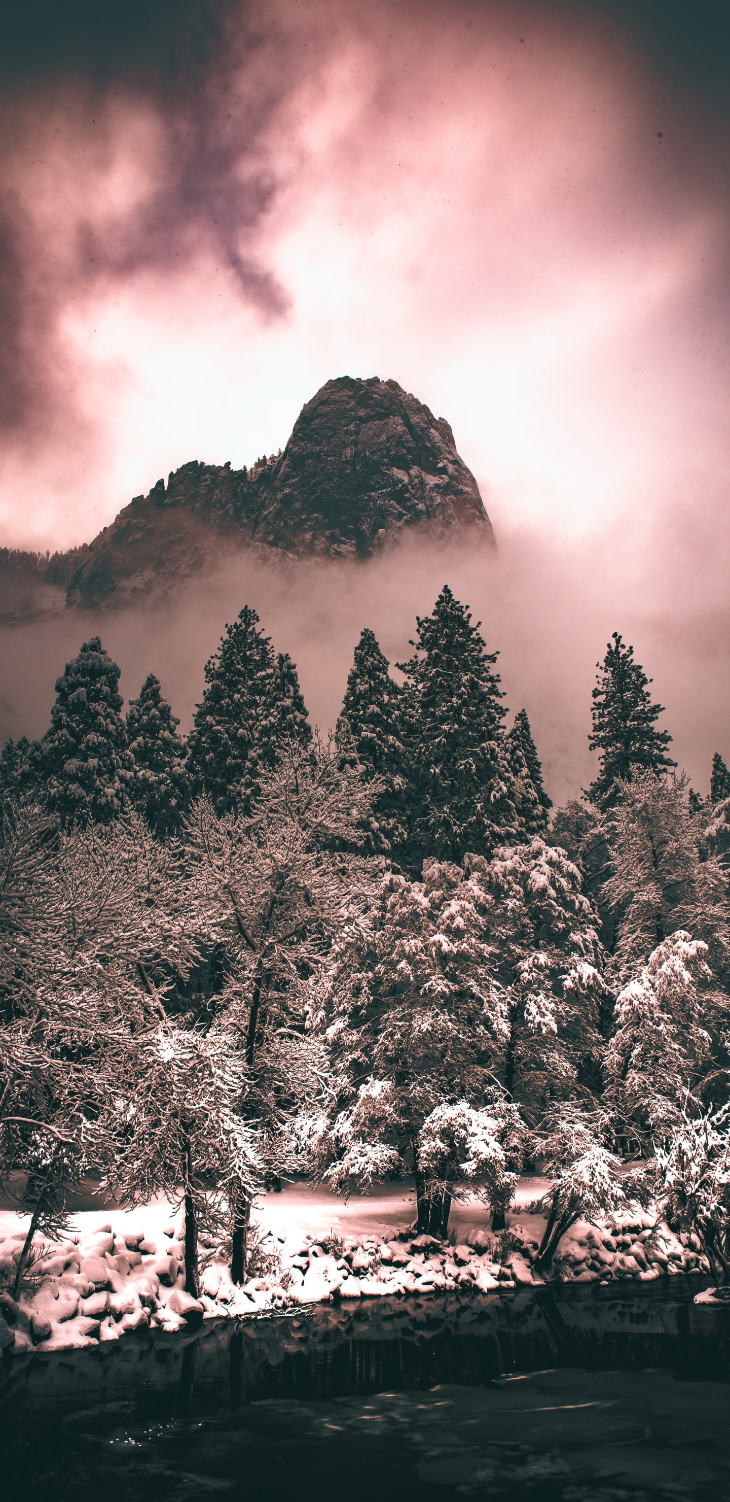 Tree, Cloud, Atmosphere, Plant, Mountain. Wallpaper in 1440x2960 Resolution