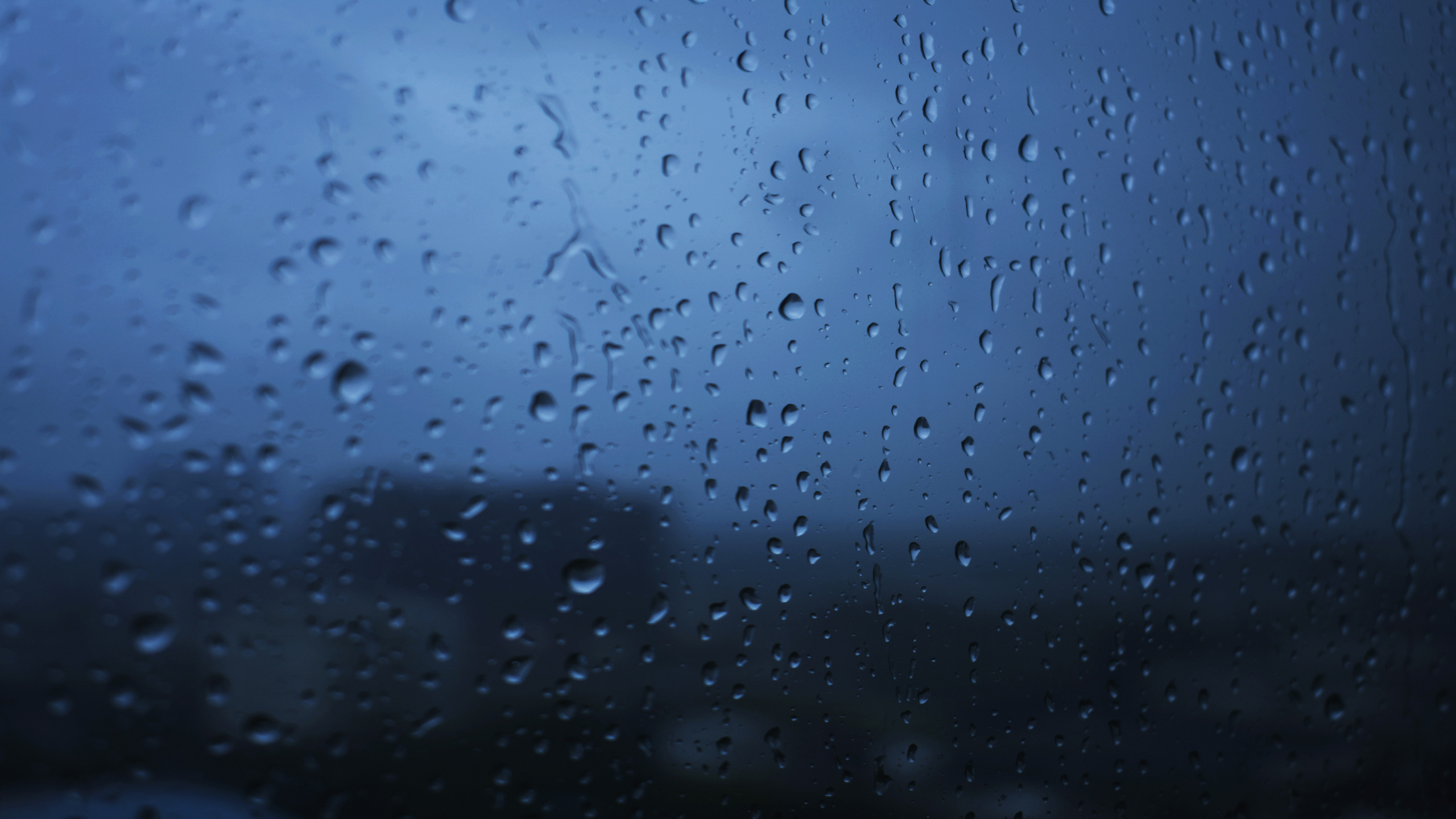 Tropfen, Regen, Blau, Wasser, Nieselregen. Wallpaper in 2560x1440 Resolution