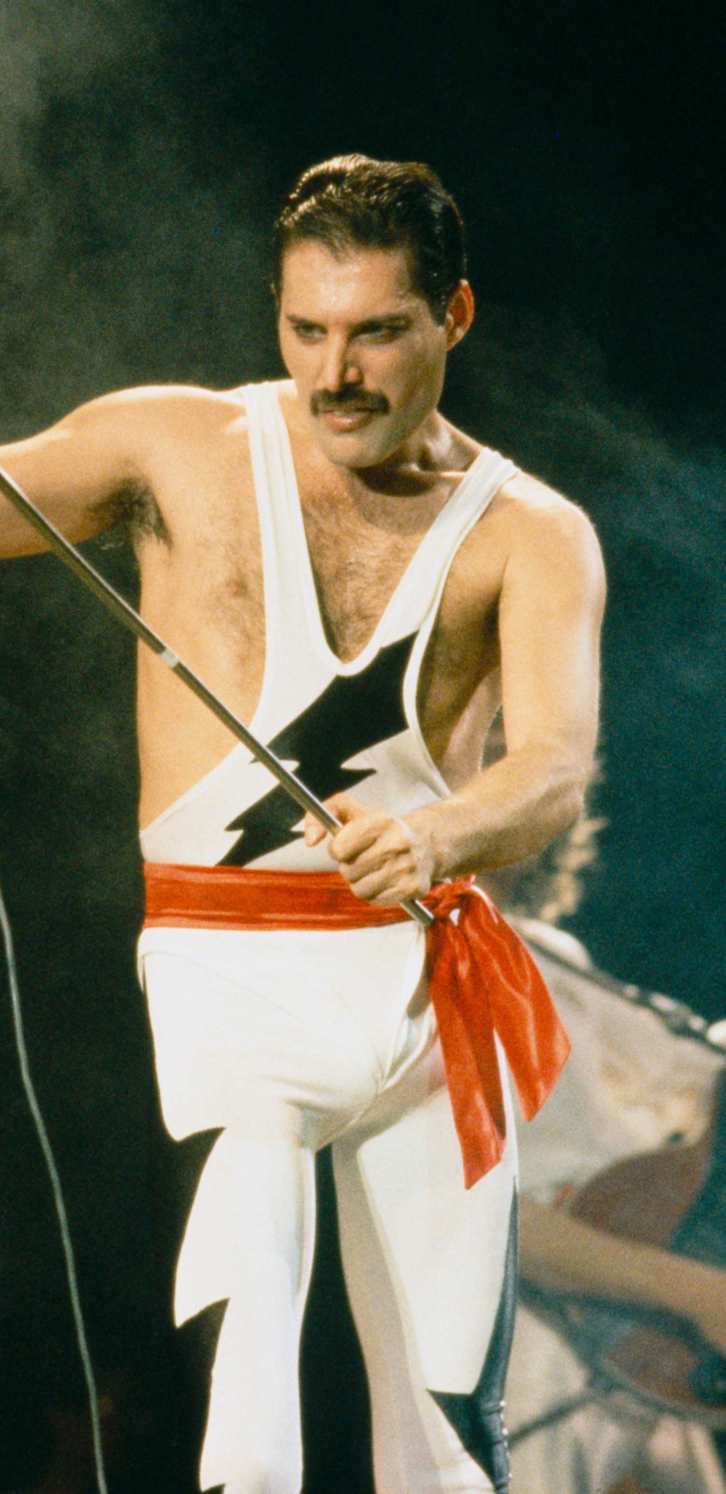 Freddie Mercury, Rendimiento, Entretenimiento, Sica, Artes Escénicas. Wallpaper in 1440x2960 Resolution