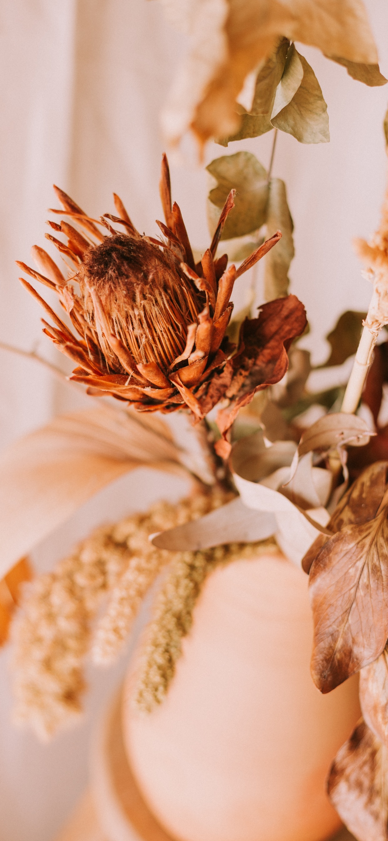 Pétalos de Flores Marrones y Blancas. Wallpaper in 1242x2688 Resolution