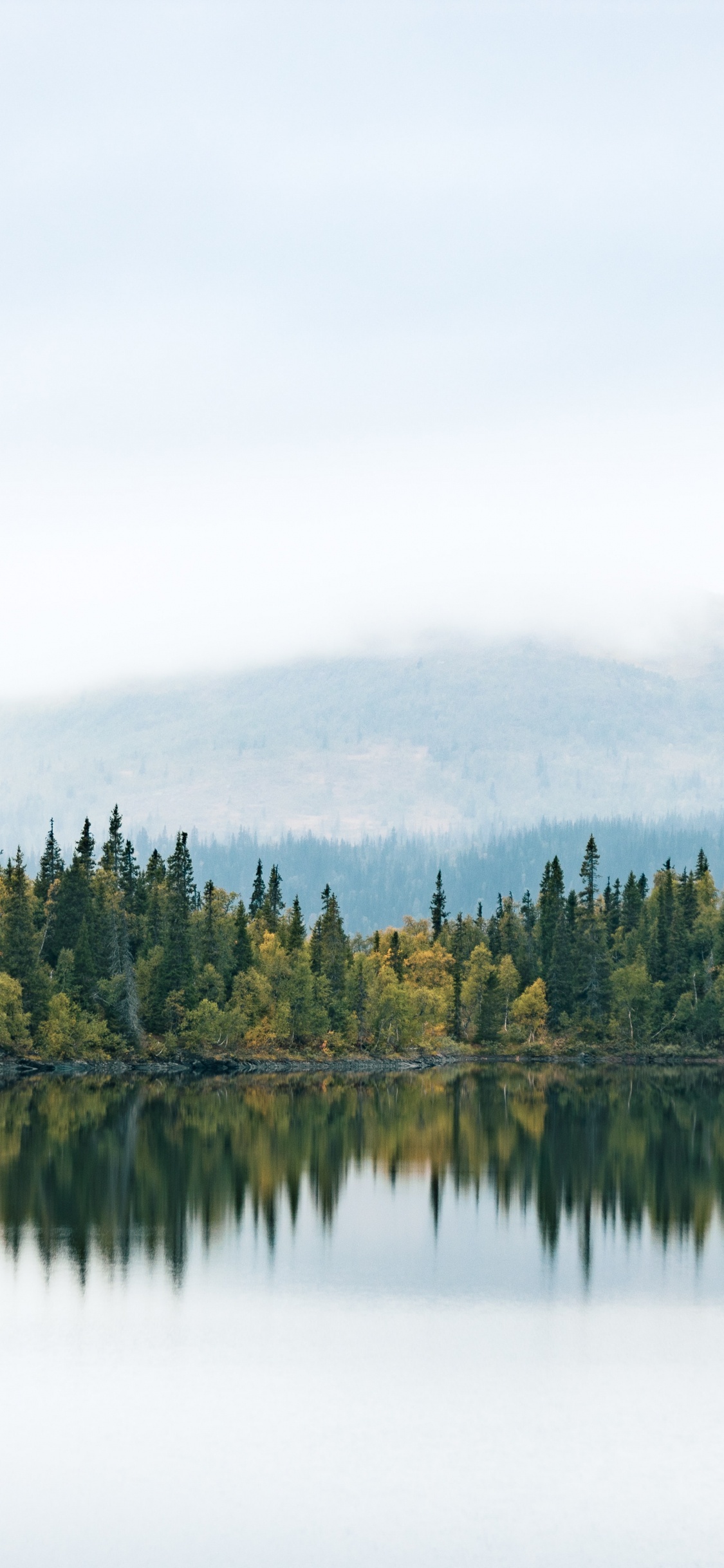 Wasser, Cloud, Naturlandschaft, Lärche, Baum. Wallpaper in 1125x2436 Resolution