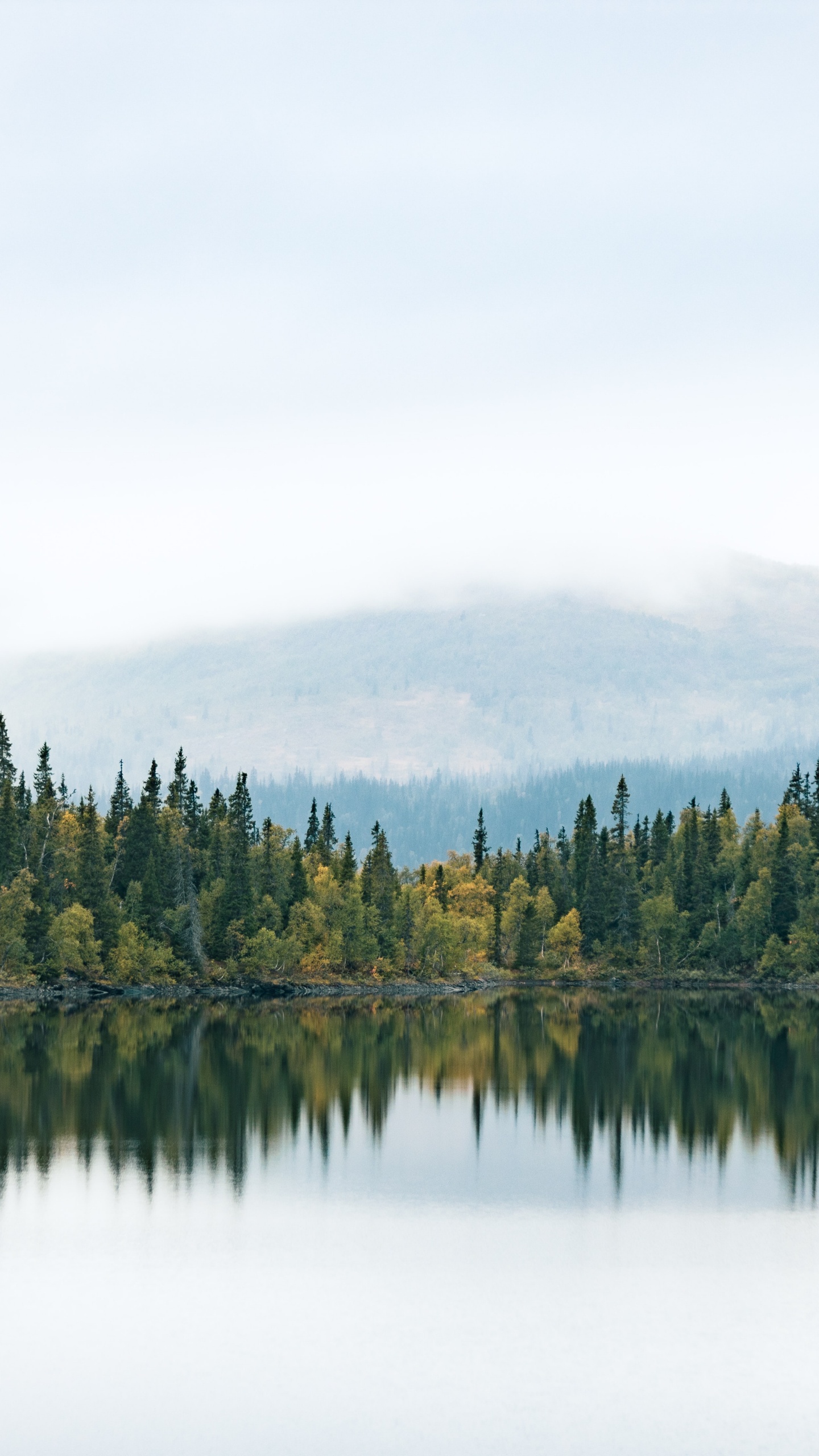 Water, Cloud, Natural Landscape, Larch, Tree. Wallpaper in 1440x2560 Resolution