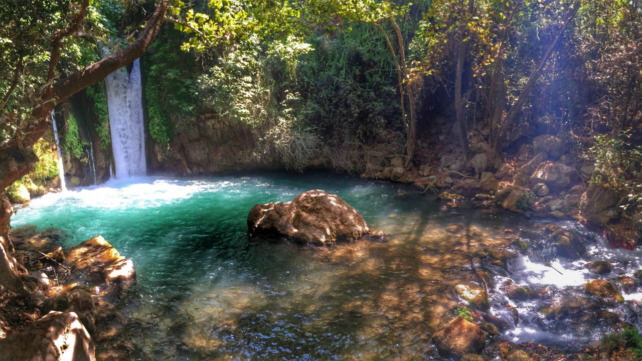 Green Trees Beside River During Daytime. Wallpaper in 1280x720 Resolution