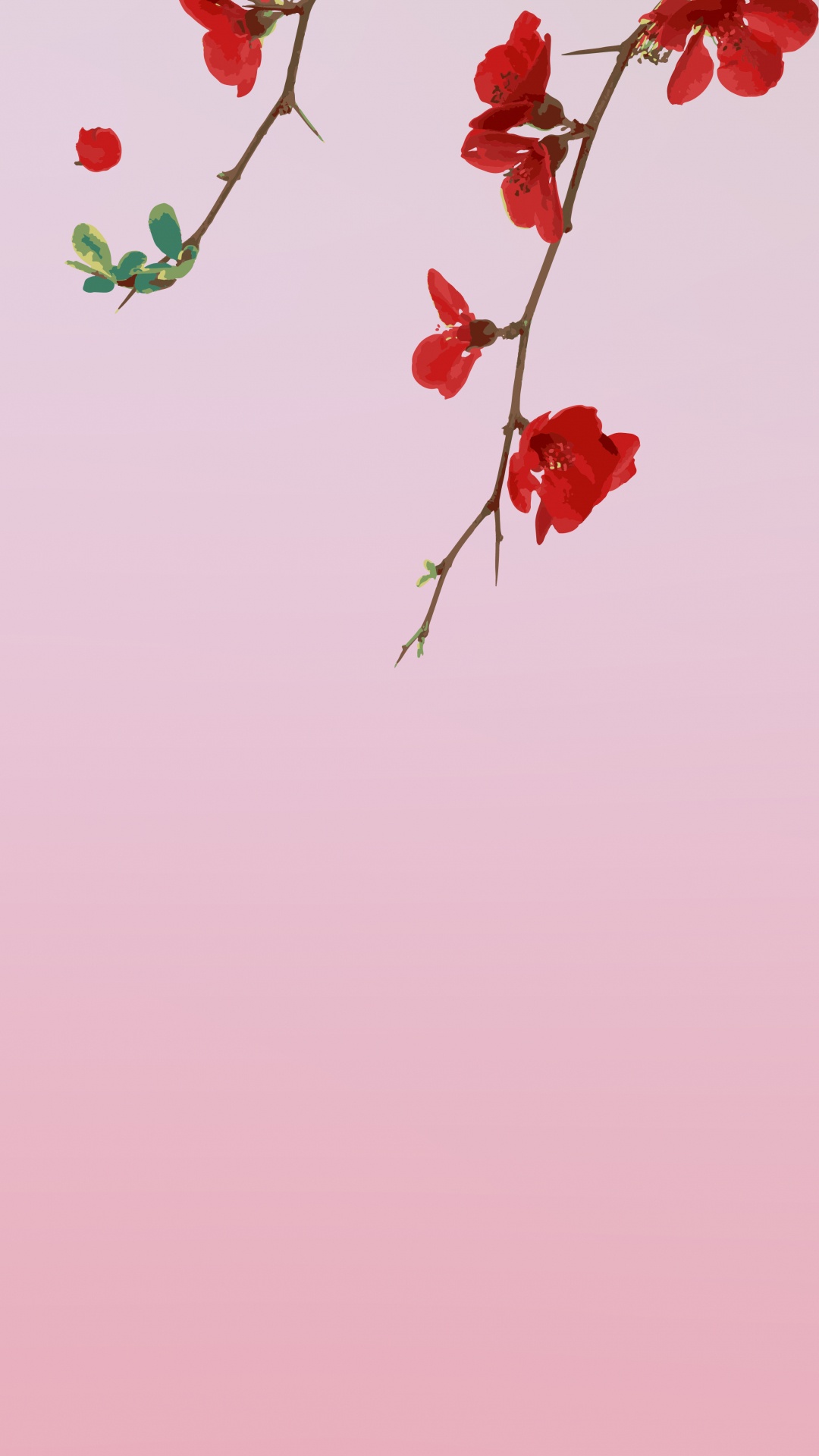 Flower, Red, Rose, Petal, Branch. Wallpaper in 1080x1920 Resolution