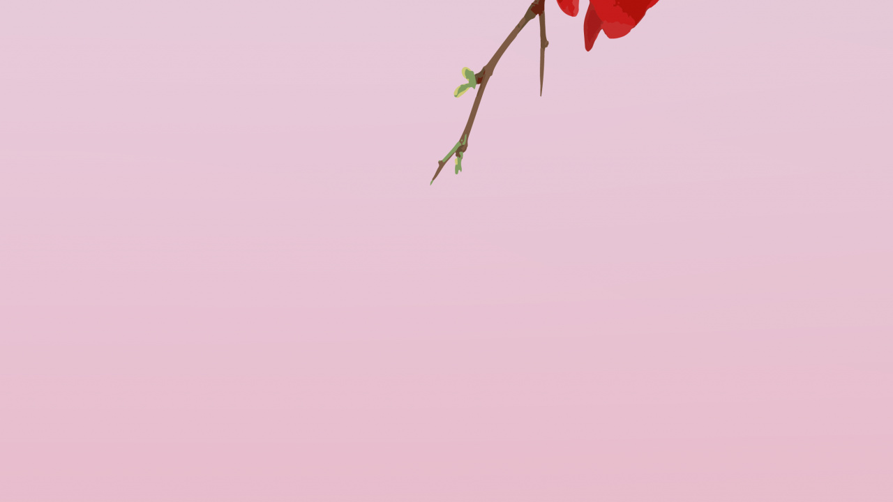 Flower, Red, Rose, Petal, Branch. Wallpaper in 1280x720 Resolution
