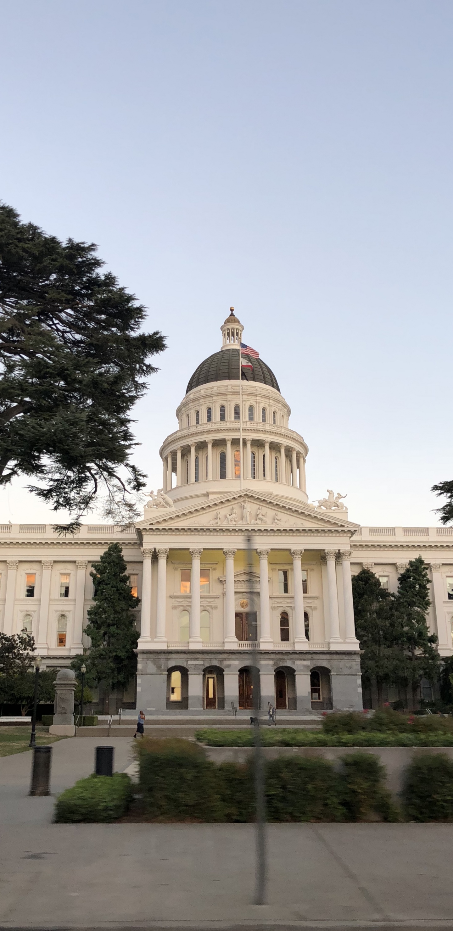 State Capitol, Plant, Dome, Landmark, Palace. Wallpaper in 1440x2960 Resolution