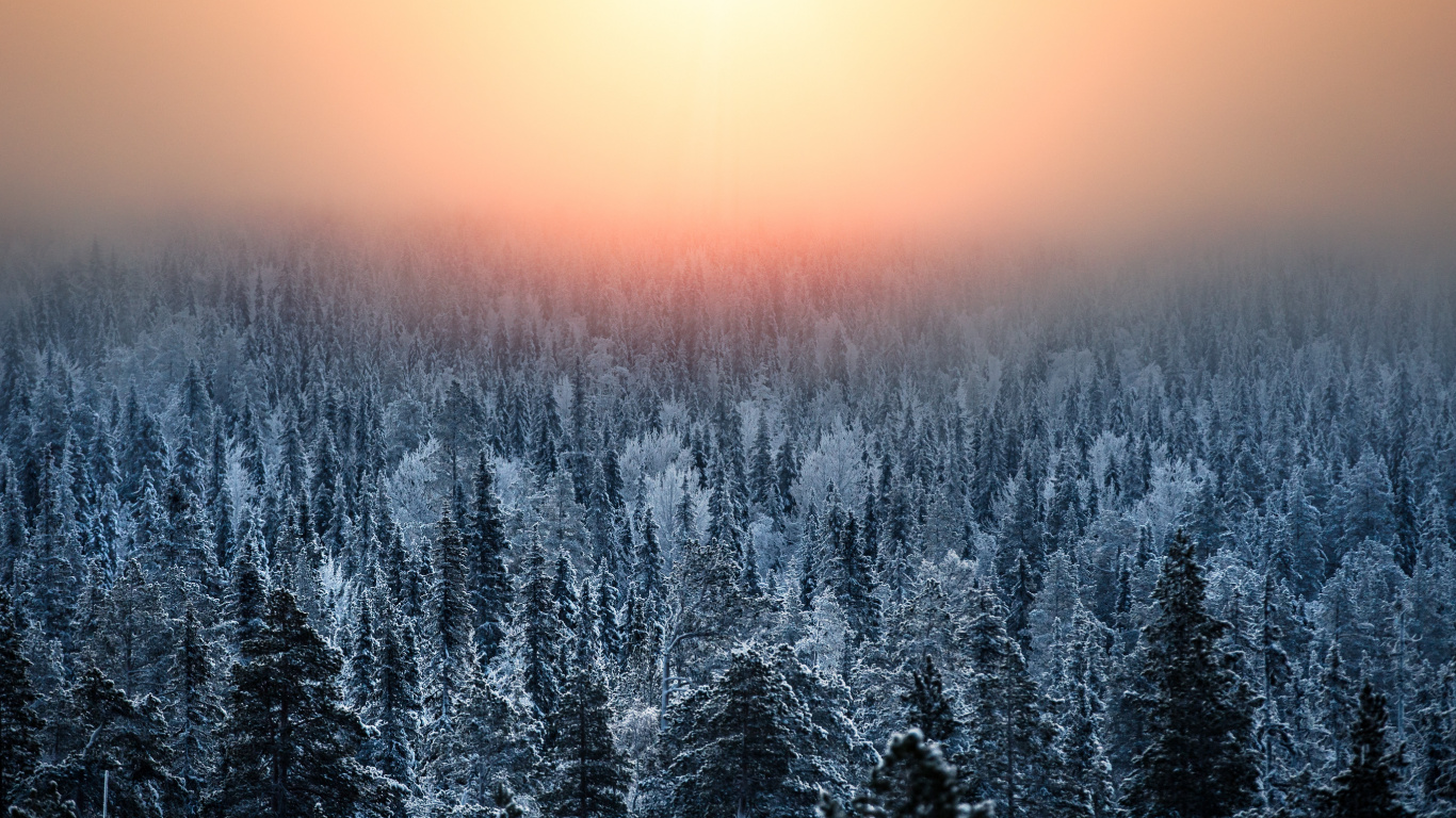 Nature, Natural Landscape, Winter, Blue, Tree. Wallpaper in 1366x768 Resolution