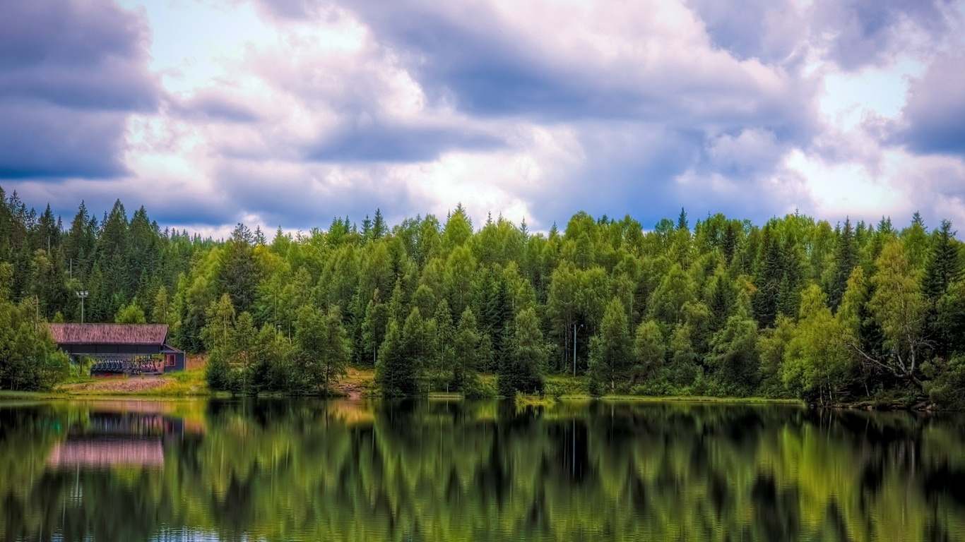 Green Trees Beside Lake Under Cloudy Sky During Daytime. Wallpaper in 1366x768 Resolution