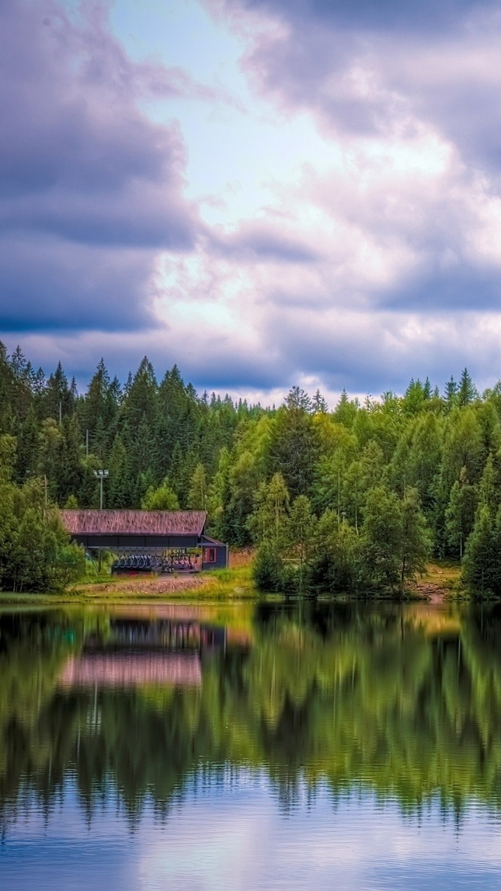 Green Trees Beside Lake Under Cloudy Sky During Daytime. Wallpaper in 720x1280 Resolution