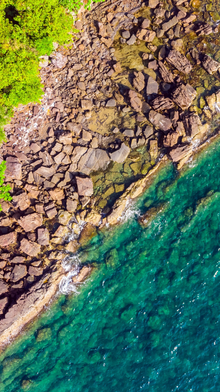 Vegetation, Watercourse, Water Resources, Outcrop, Water. Wallpaper in 750x1334 Resolution