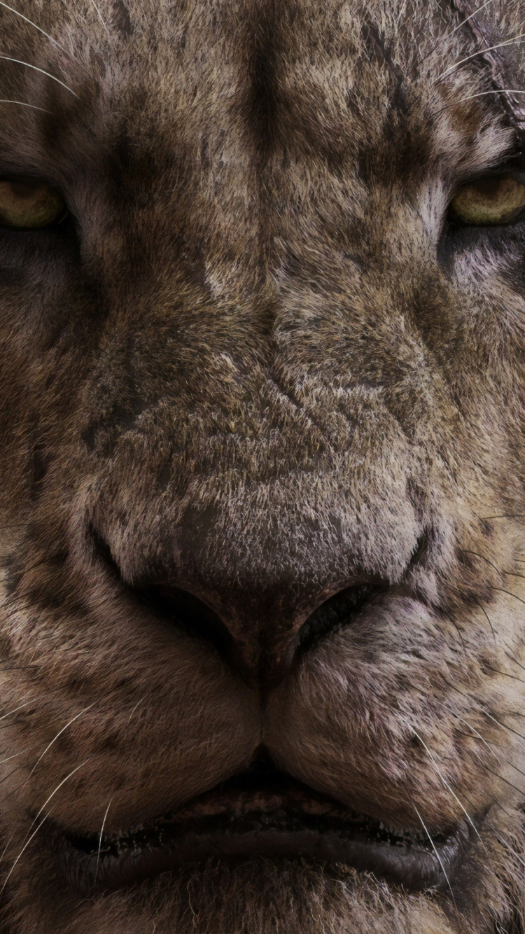 Lion Brun en Photographie Rapprochée. Wallpaper in 750x1334 Resolution