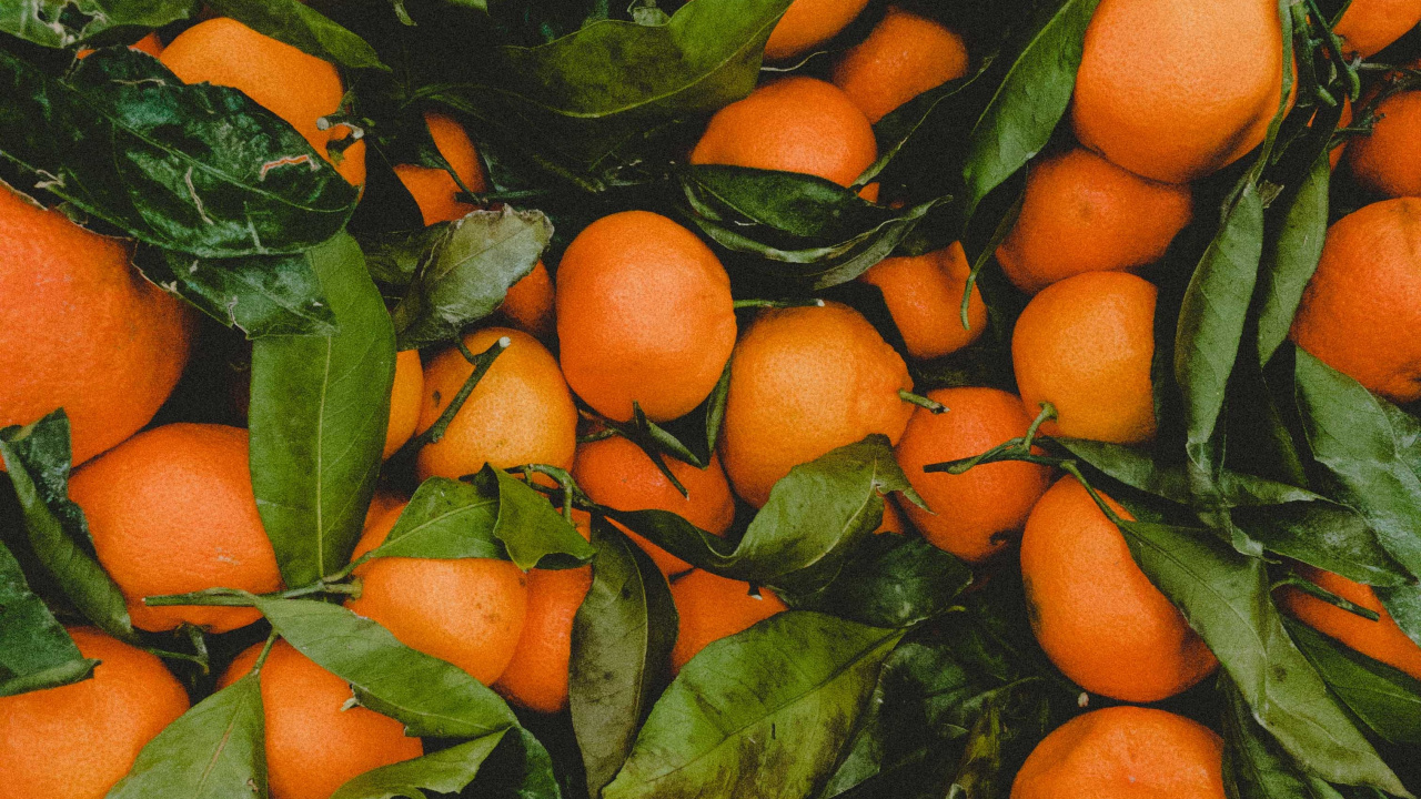 Orange Fruits on Green Leaves. Wallpaper in 1280x720 Resolution
