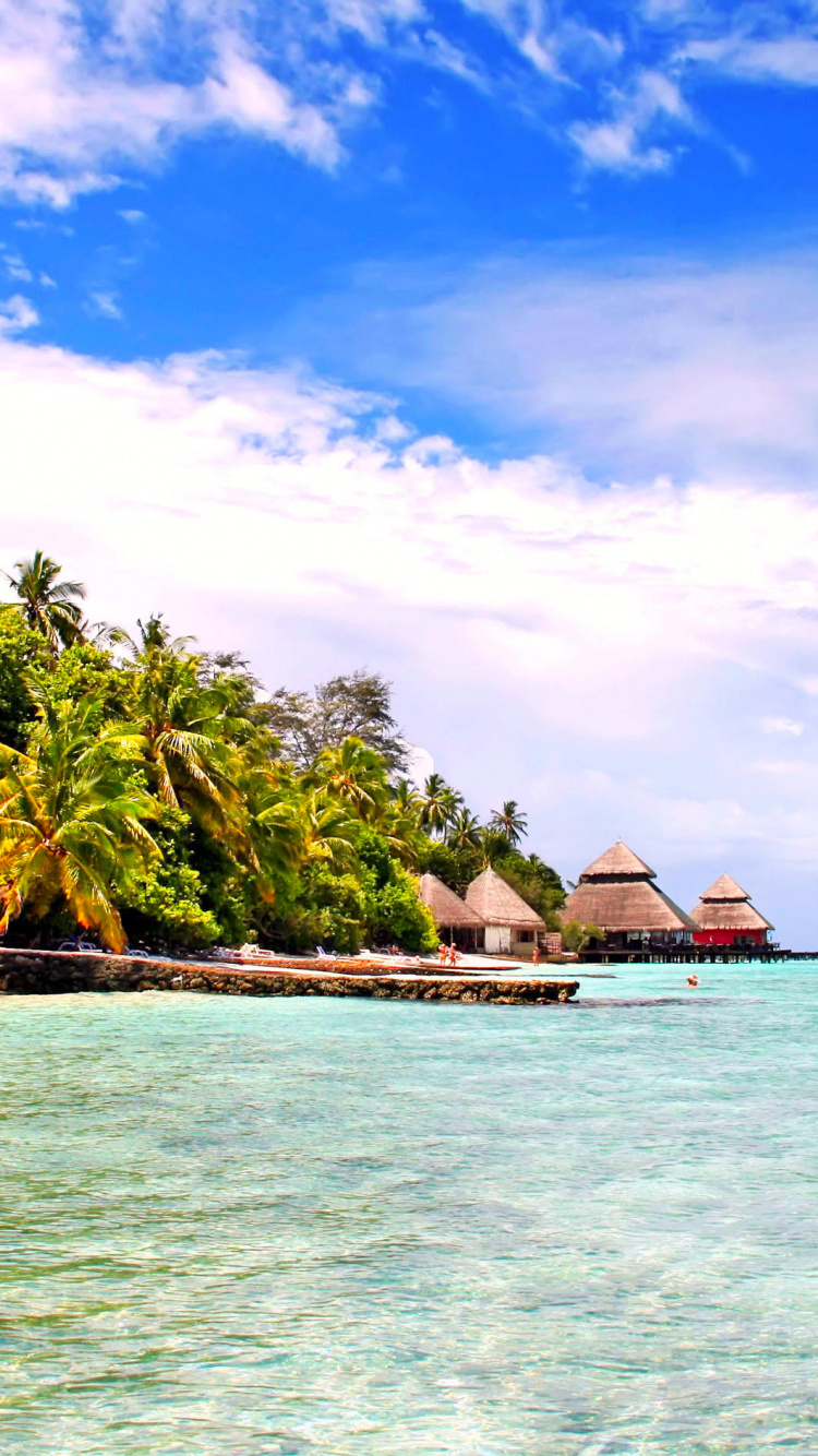Brown and White House on Beach During Daytime. Wallpaper in 750x1334 Resolution