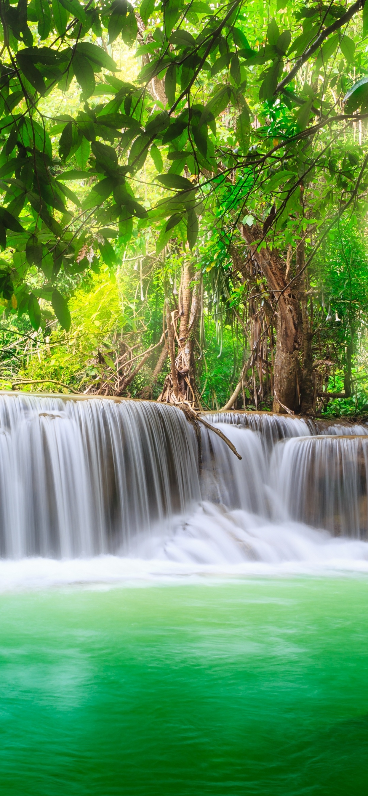 Waterfalls in Forest During Daytime. Wallpaper in 1242x2688 Resolution