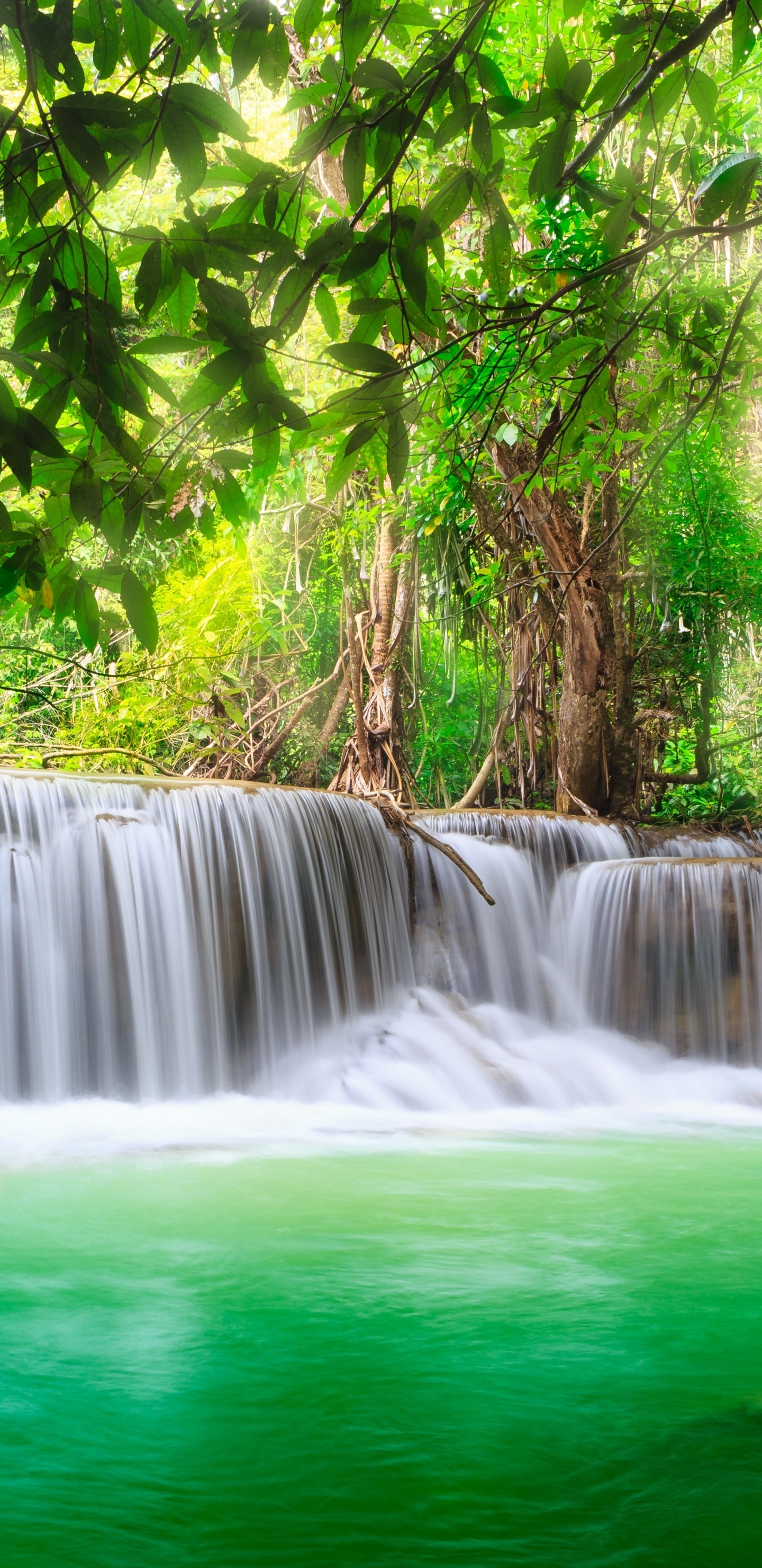 Waterfalls in Forest During Daytime. Wallpaper in 1440x2960 Resolution