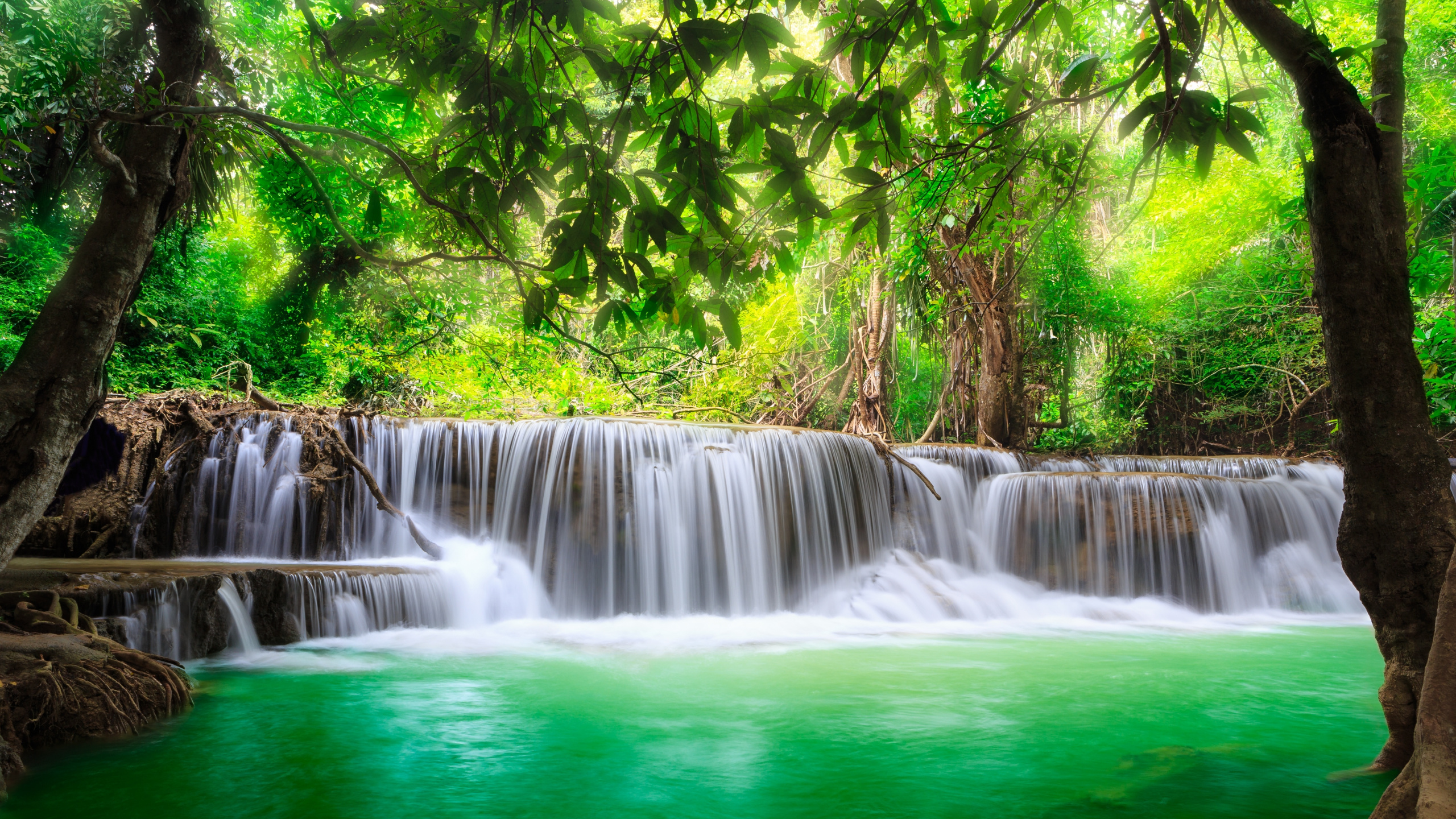 Waterfalls in Forest During Daytime. Wallpaper in 2560x1440 Resolution