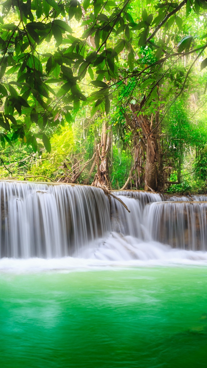 Waterfalls in Forest During Daytime. Wallpaper in 720x1280 Resolution
