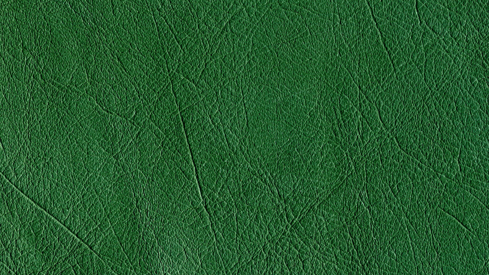 Textile Vert en Photographie Rapprochée. Wallpaper in 1920x1080 Resolution