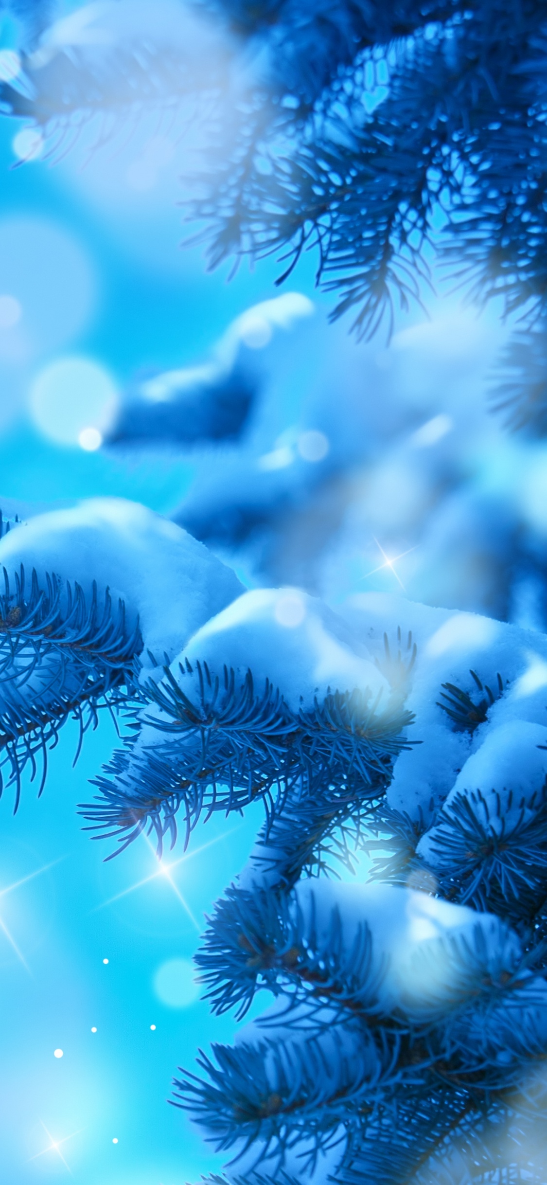 Blue, Fir, Pine Family, Marine Biology, Close Up. Wallpaper in 1125x2436 Resolution