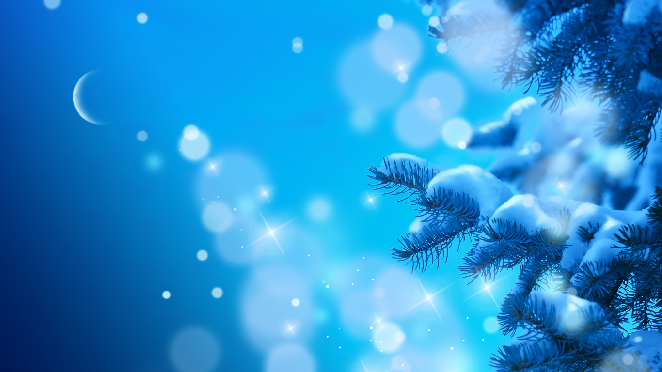 Blau, Fir, Familie Kiefer, Marine Biologie, Close Up. Wallpaper in 1366x768 Resolution