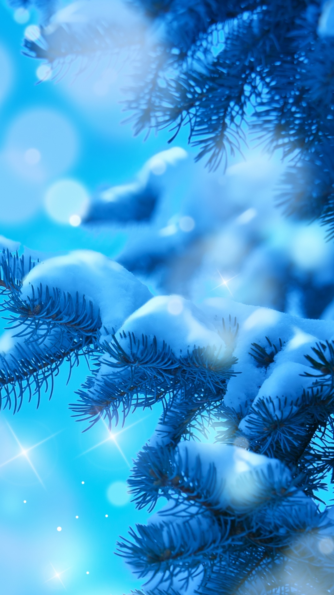 Blue, Sapin, Famille Des Pins, Biologie Marine, Fermer. Wallpaper in 1080x1920 Resolution