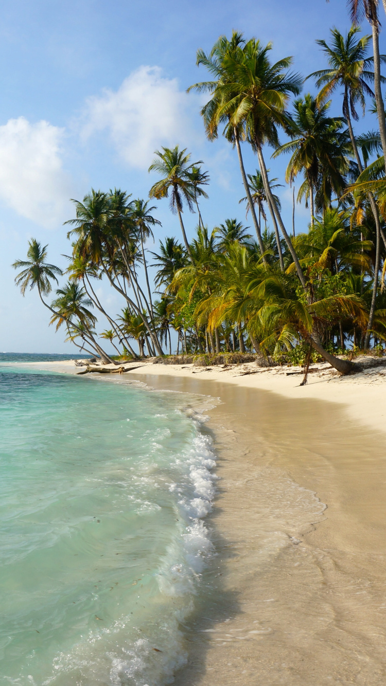 Green Palm Trees on Beach During Daytime. Wallpaper in 750x1334 Resolution