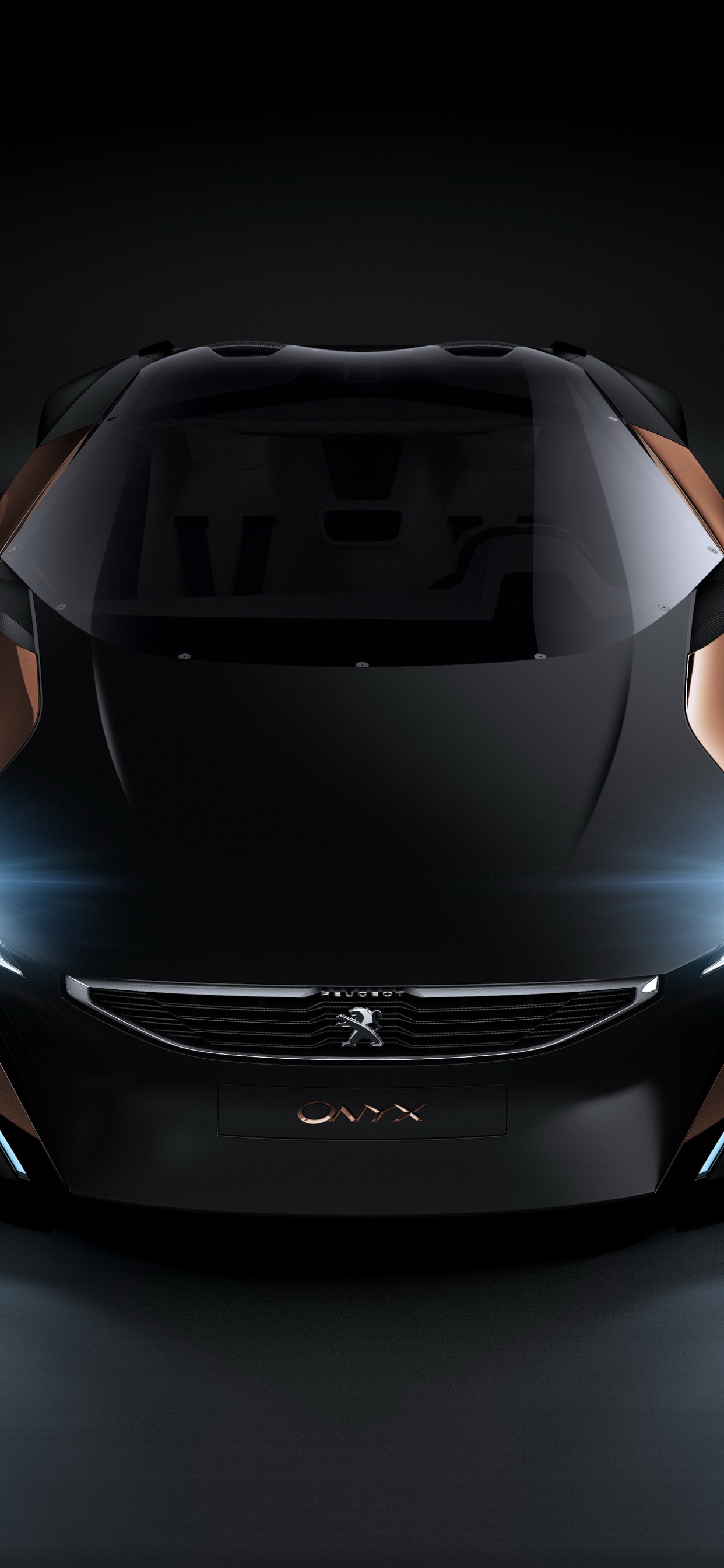 Schwarzer Lamborghini Aventador in Einem Dunklen Raum. Wallpaper in 1242x2688 Resolution