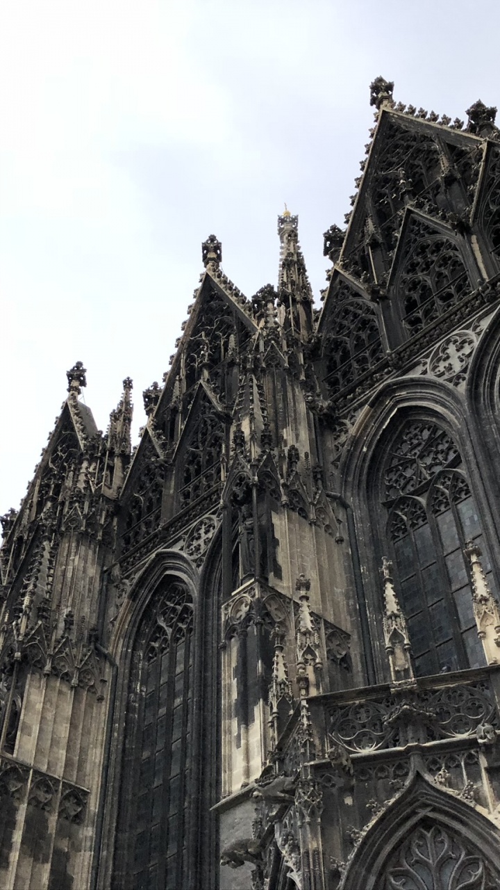 St. Stephans Kathedrale, St. Stephens Kathedrale, Architektur, Fassade, Die Gotische Architektur. Wallpaper in 720x1280 Resolution