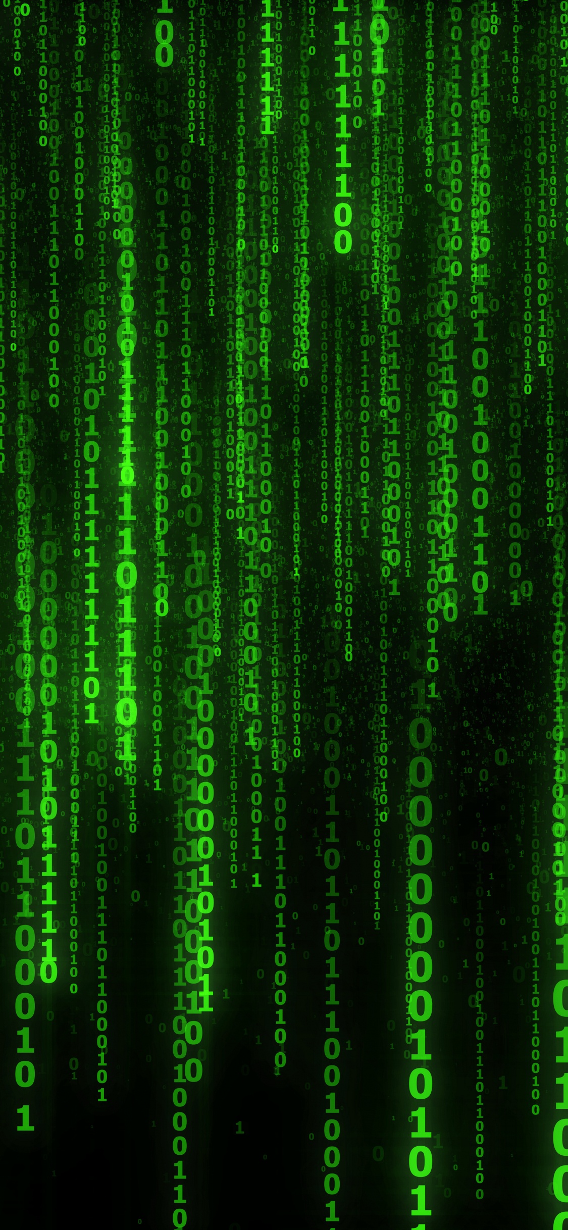 Binary Code, Binary Number, Standing, Green, Pattern. Wallpaper in 1125x2436 Resolution