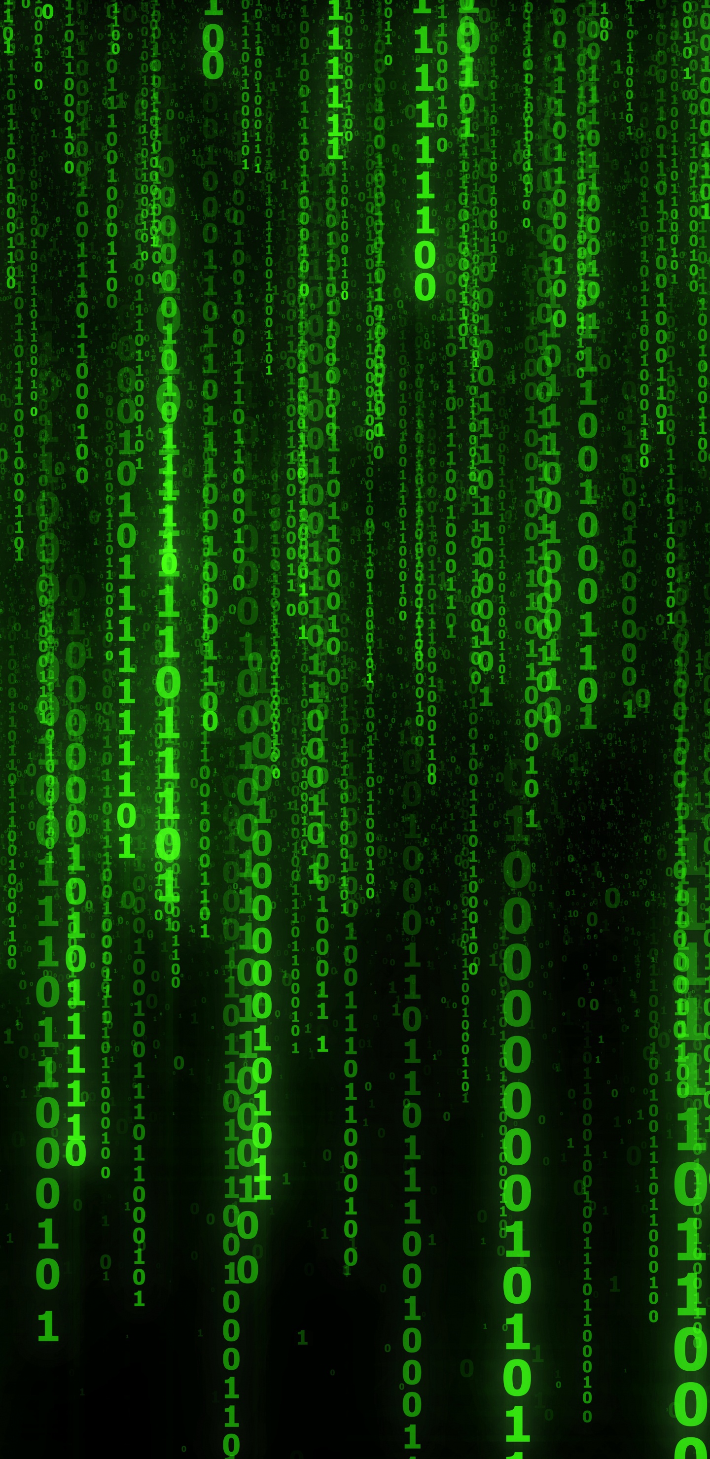 Binary Code, Binary Number, Standing, Green, Pattern. Wallpaper in 1440x2960 Resolution