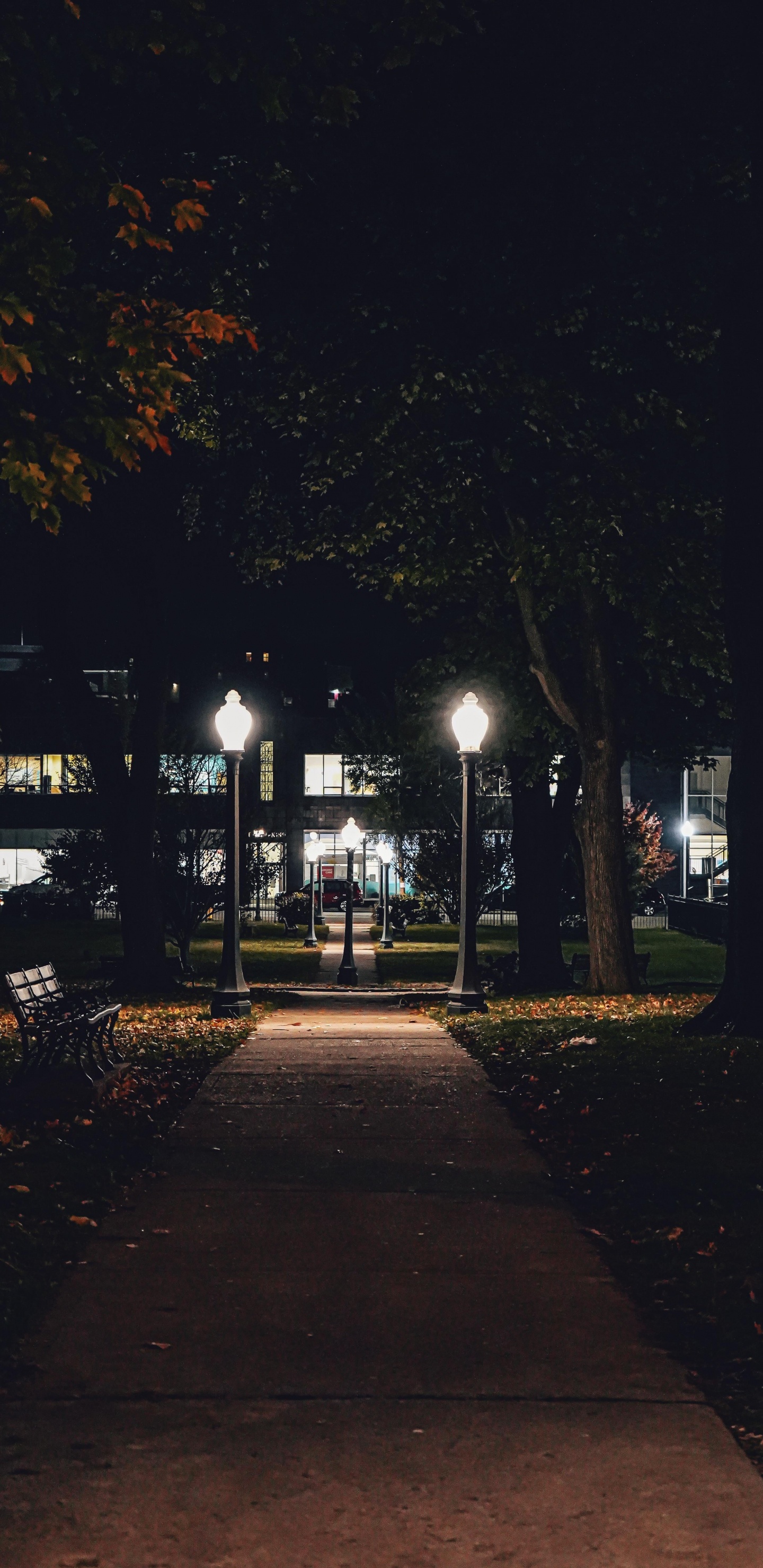 车灯, 路灯, 建筑, 电力, 沥青 壁纸 1440x2960 允许