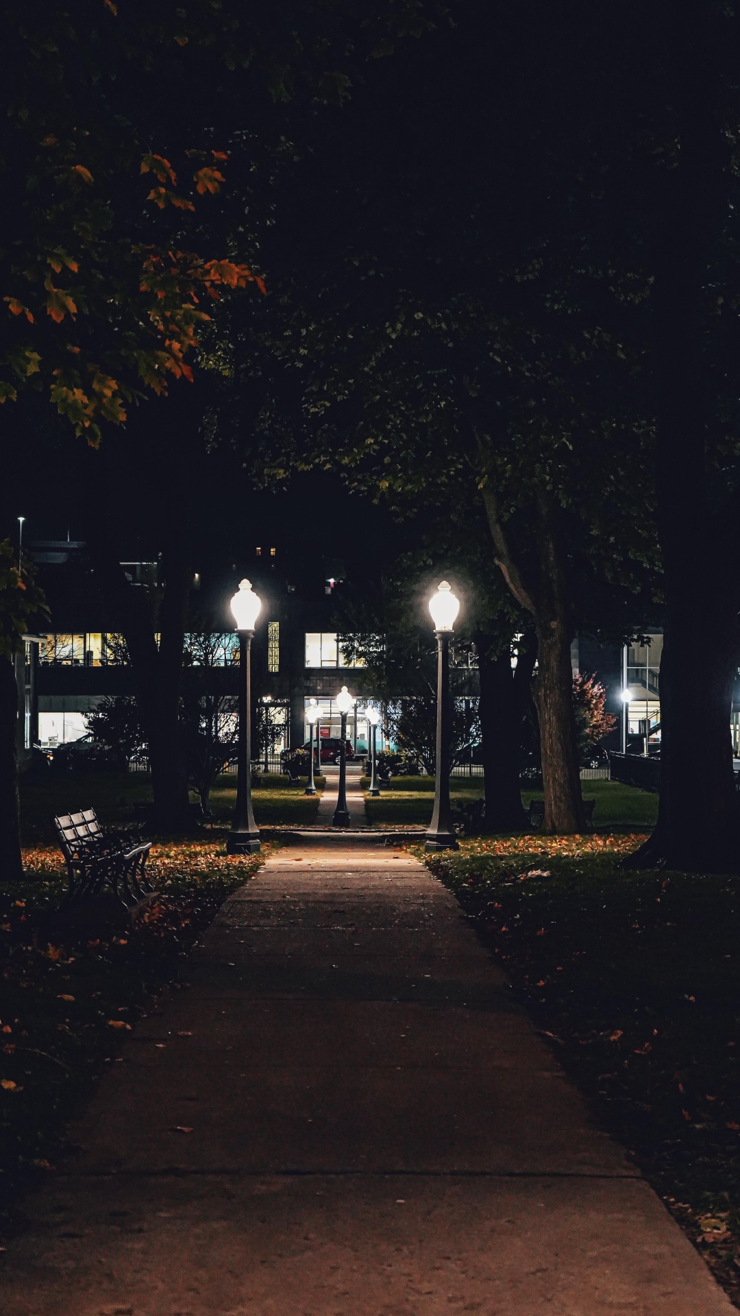 Nacht, Automotive Lighting, Blatt, Branch, Street Light. Wallpaper in 1080x1920 Resolution