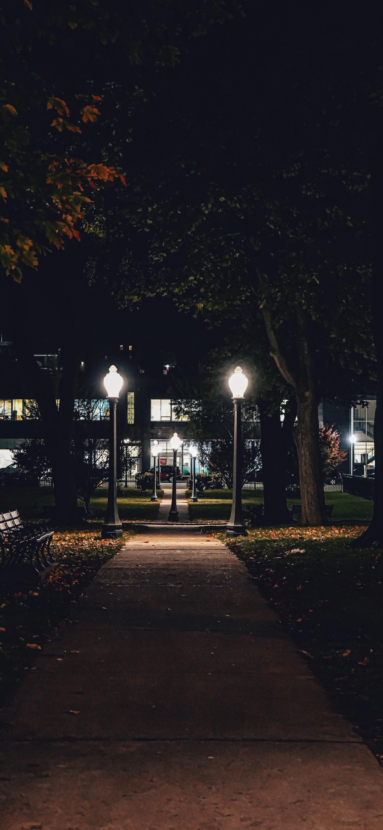 Nacht, Automotive Lighting, Blatt, Branch, Street Light. Wallpaper in 1242x2688 Resolution