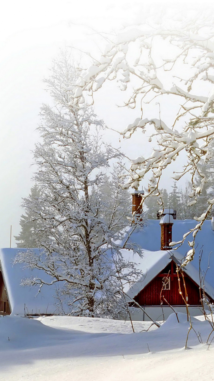 Brown House on Snow Covered Ground. Wallpaper in 750x1334 Resolution