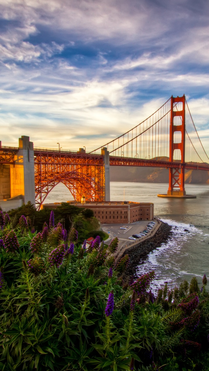 Pont du Golden Gate San Francisco Californie. Wallpaper in 720x1280 Resolution