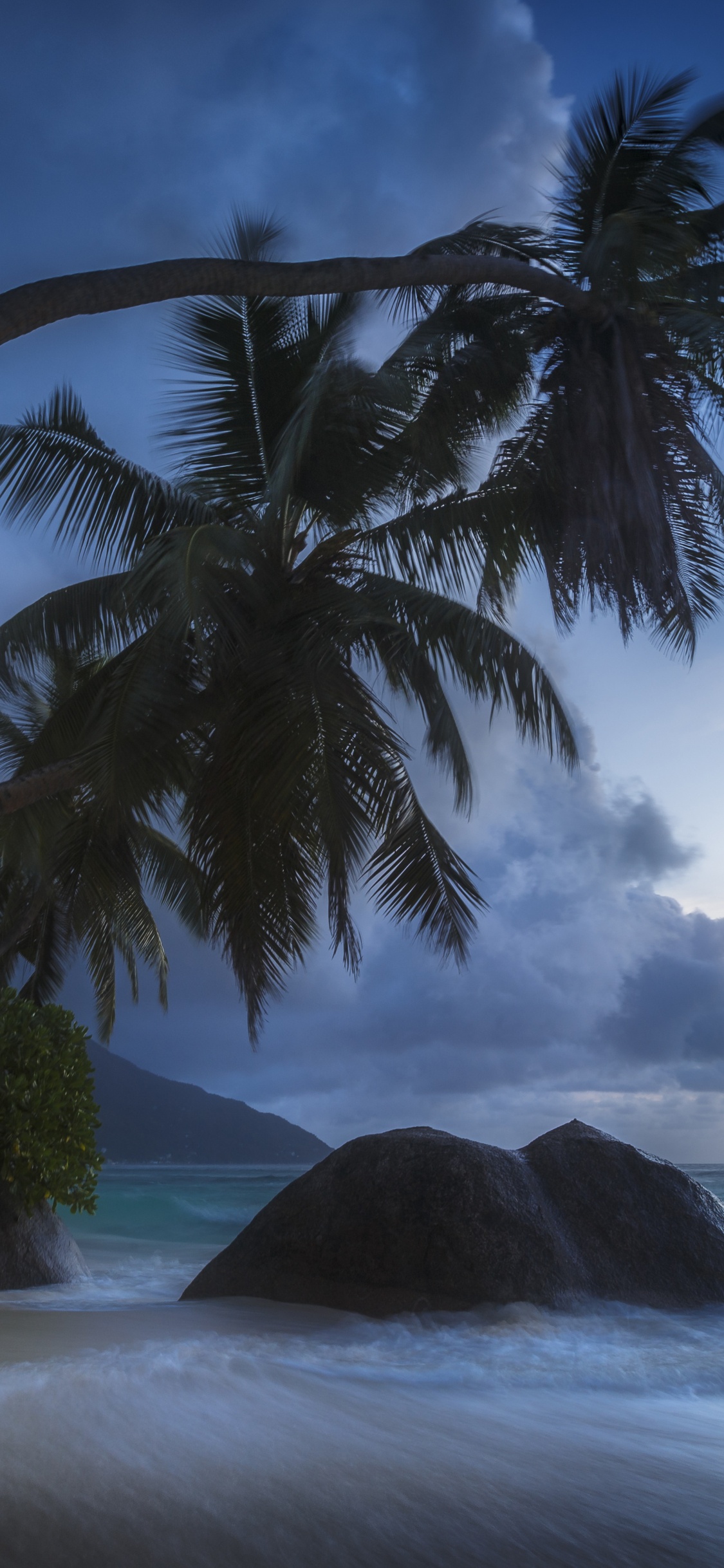 Grüne Palme am Meer Unter Weißen Wolken Und Blauem Himmel Tagsüber. Wallpaper in 1125x2436 Resolution