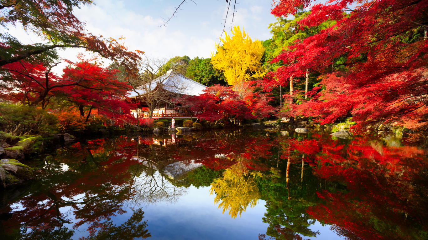 Árboles Marrones y Verdes Junto al Lago. Wallpaper in 1366x768 Resolution