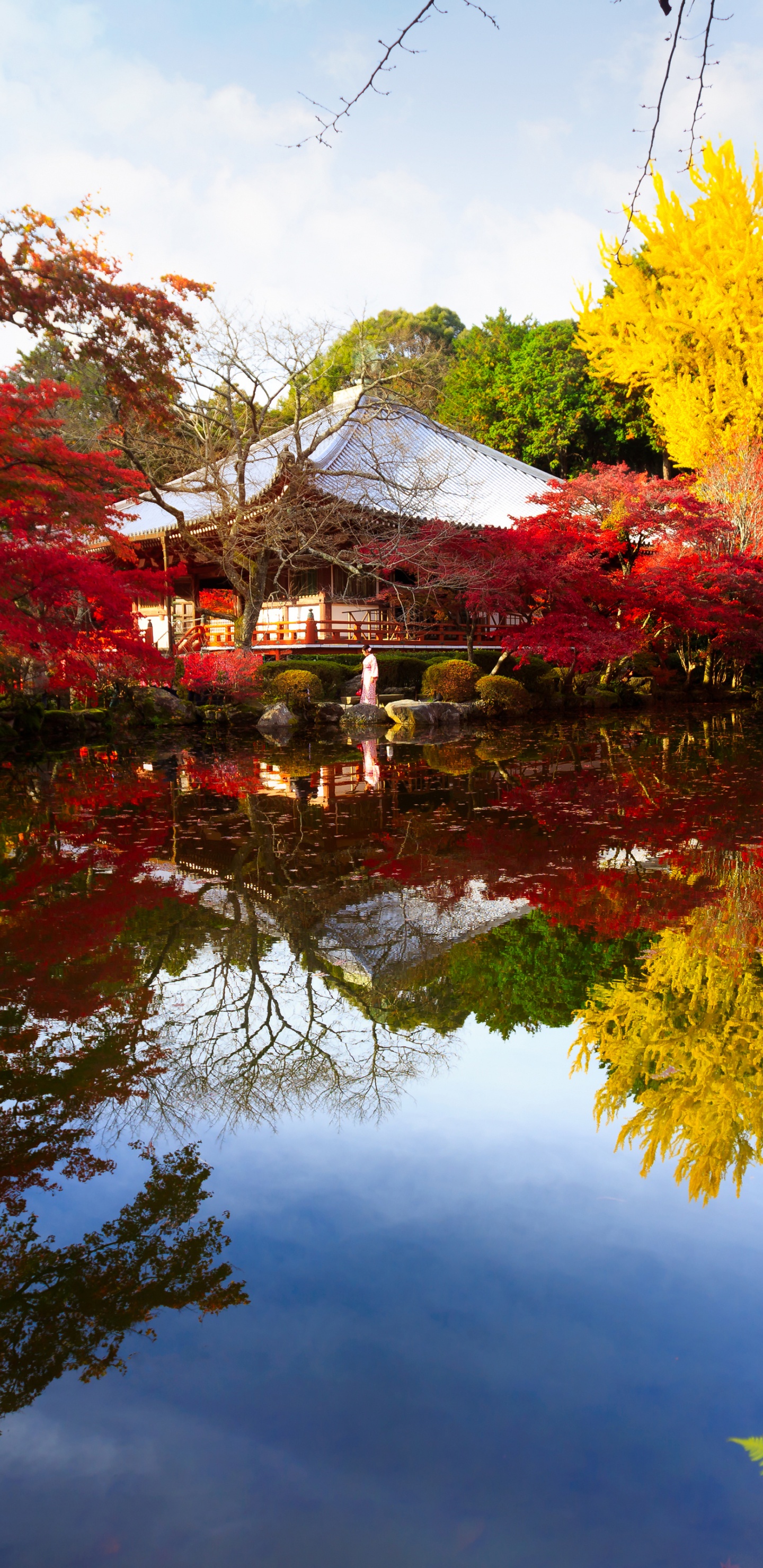 Árboles Marrones y Verdes Junto al Lago. Wallpaper in 1440x2960 Resolution