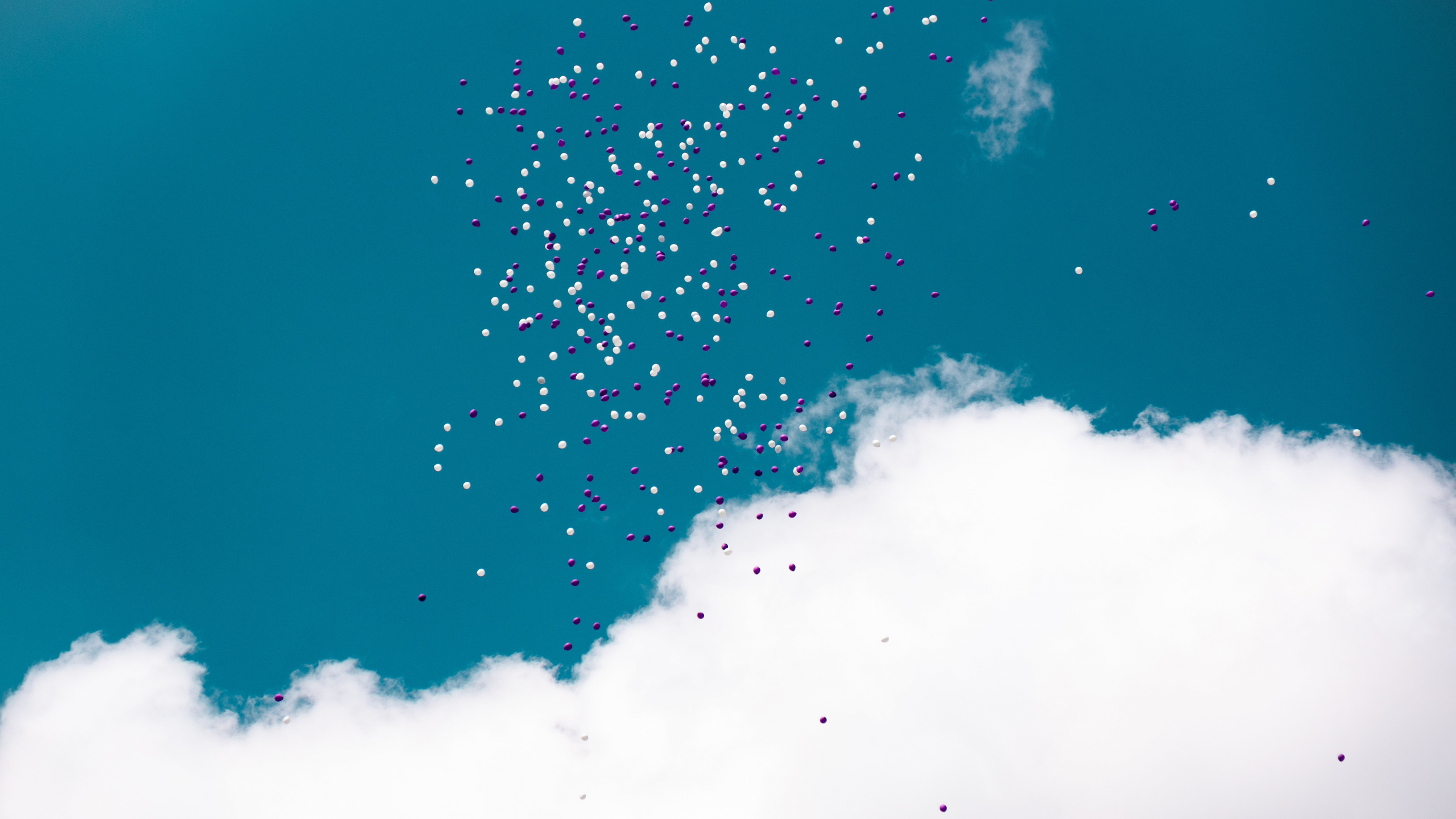 Nuages Blancs et Ciel Bleu. Wallpaper in 2560x1440 Resolution